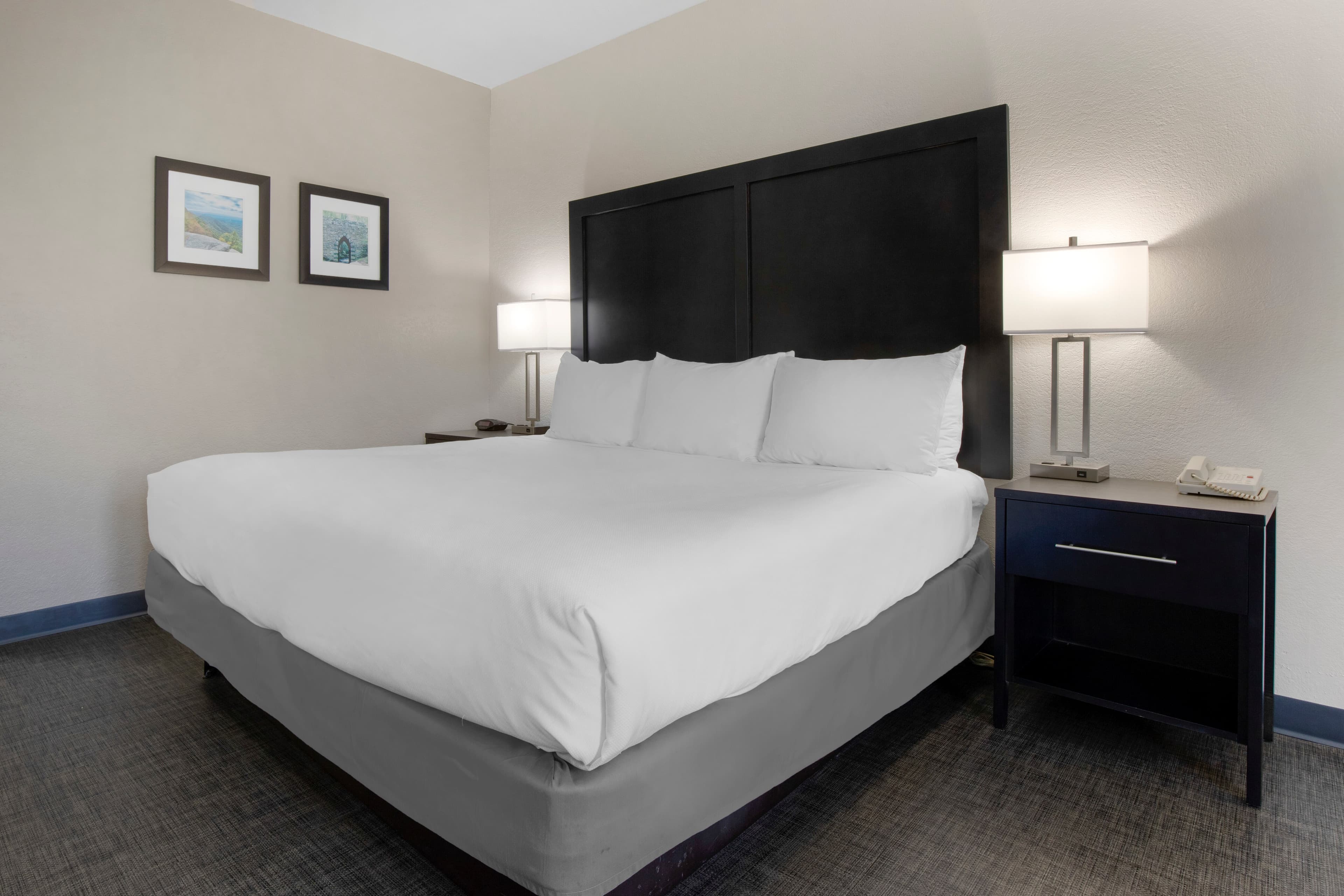 Comfort Inn & Suites Greer - Greenville - Image 3