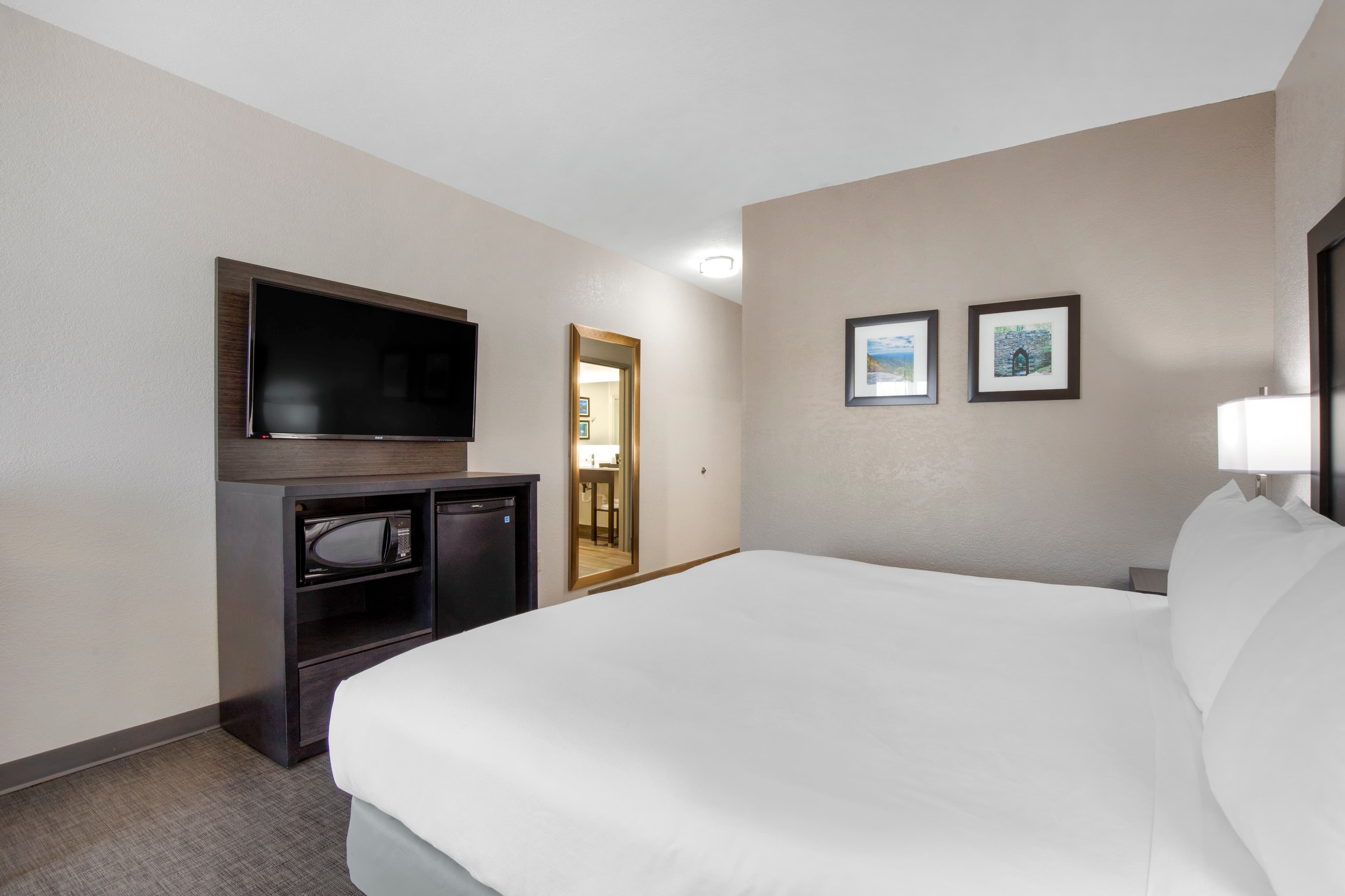 Comfort Inn & Suites Greer - Greenville - Image 5