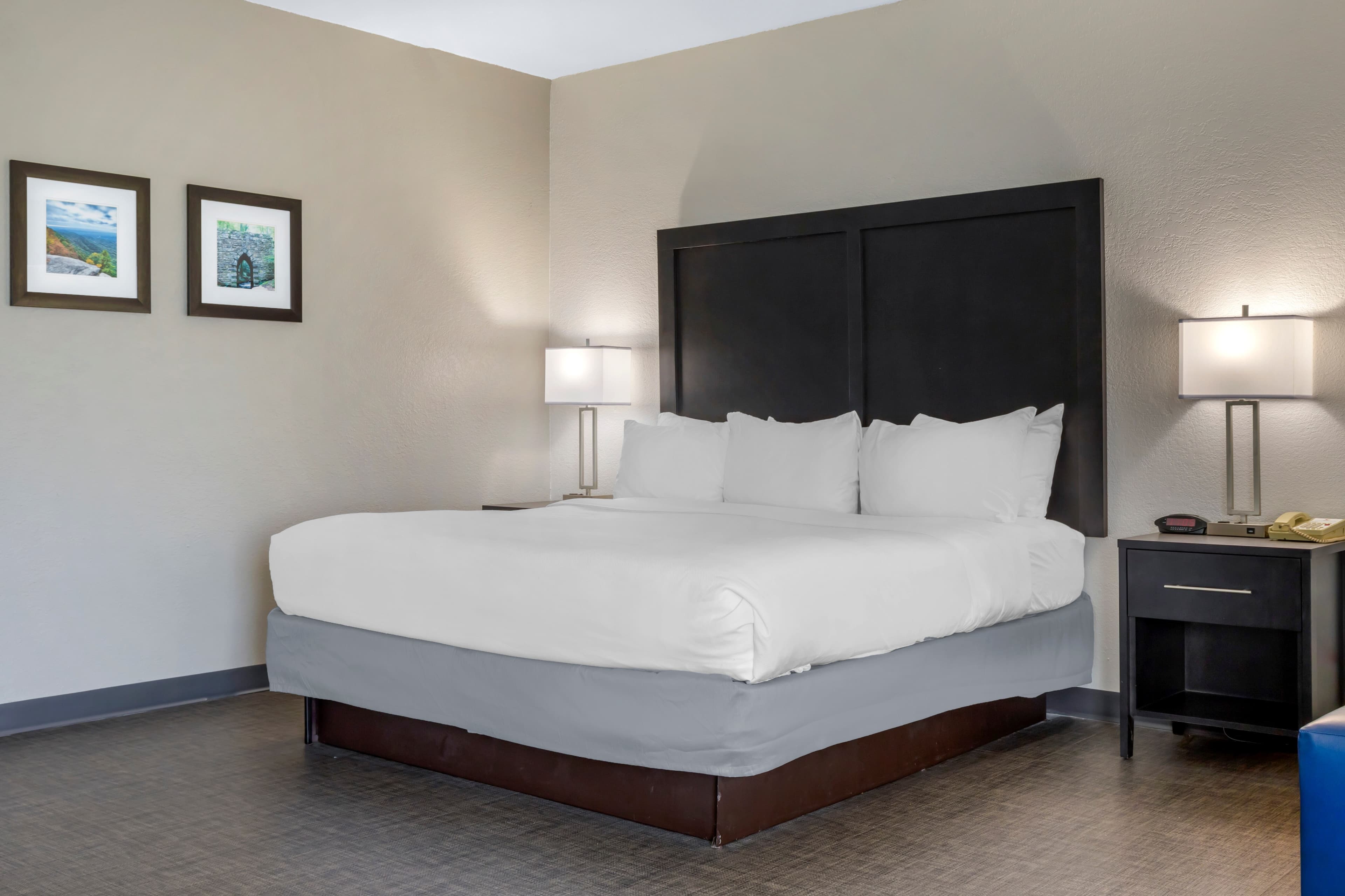 Comfort Inn & Suites Greer - Greenville — 28