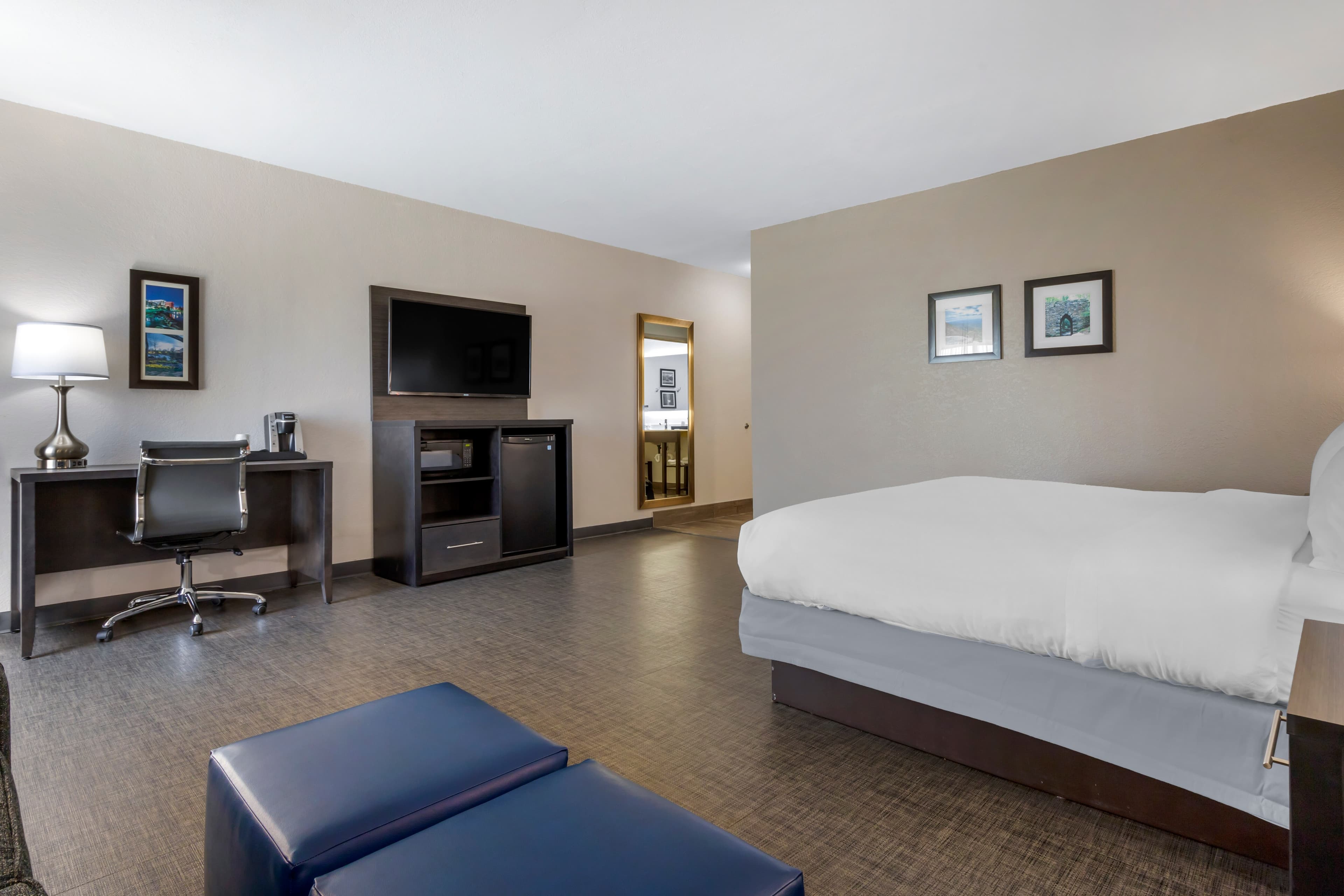 Comfort Inn & Suites Greer - Greenville — 30