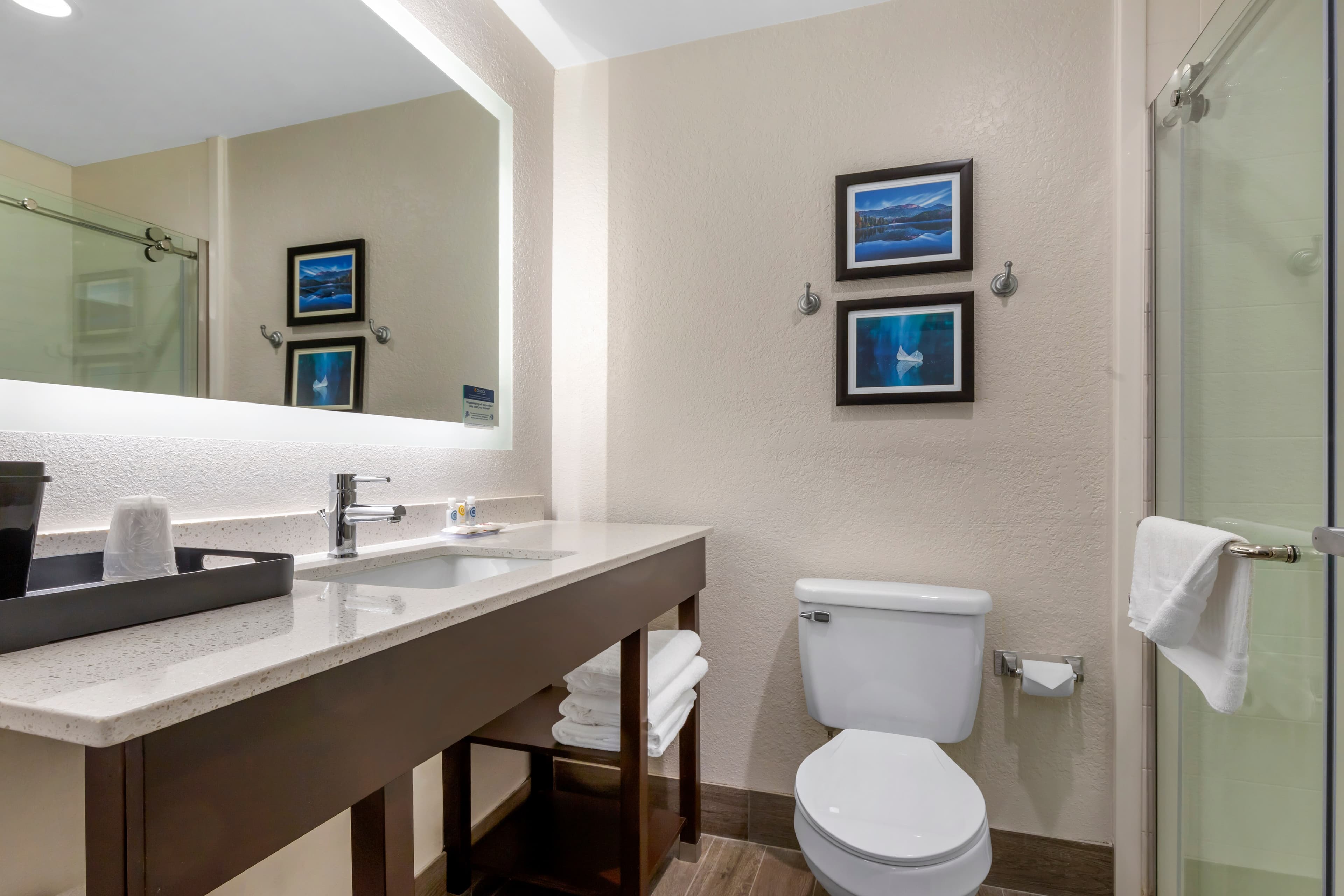 Comfort Inn & Suites Greer - Greenville — 31