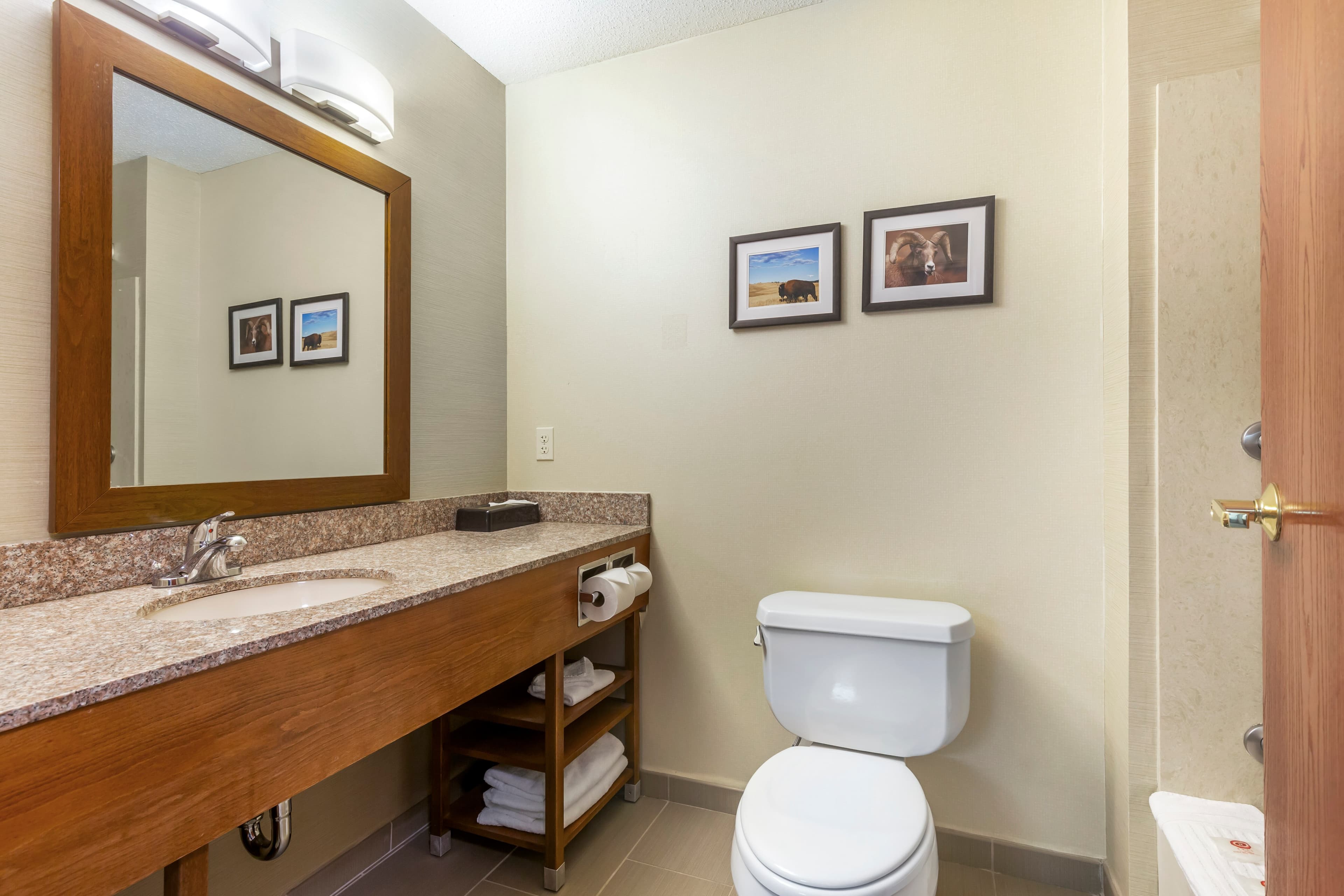 Comfort Inn & Suites Rapid City South - Mt Rushmore Gateway — 12
