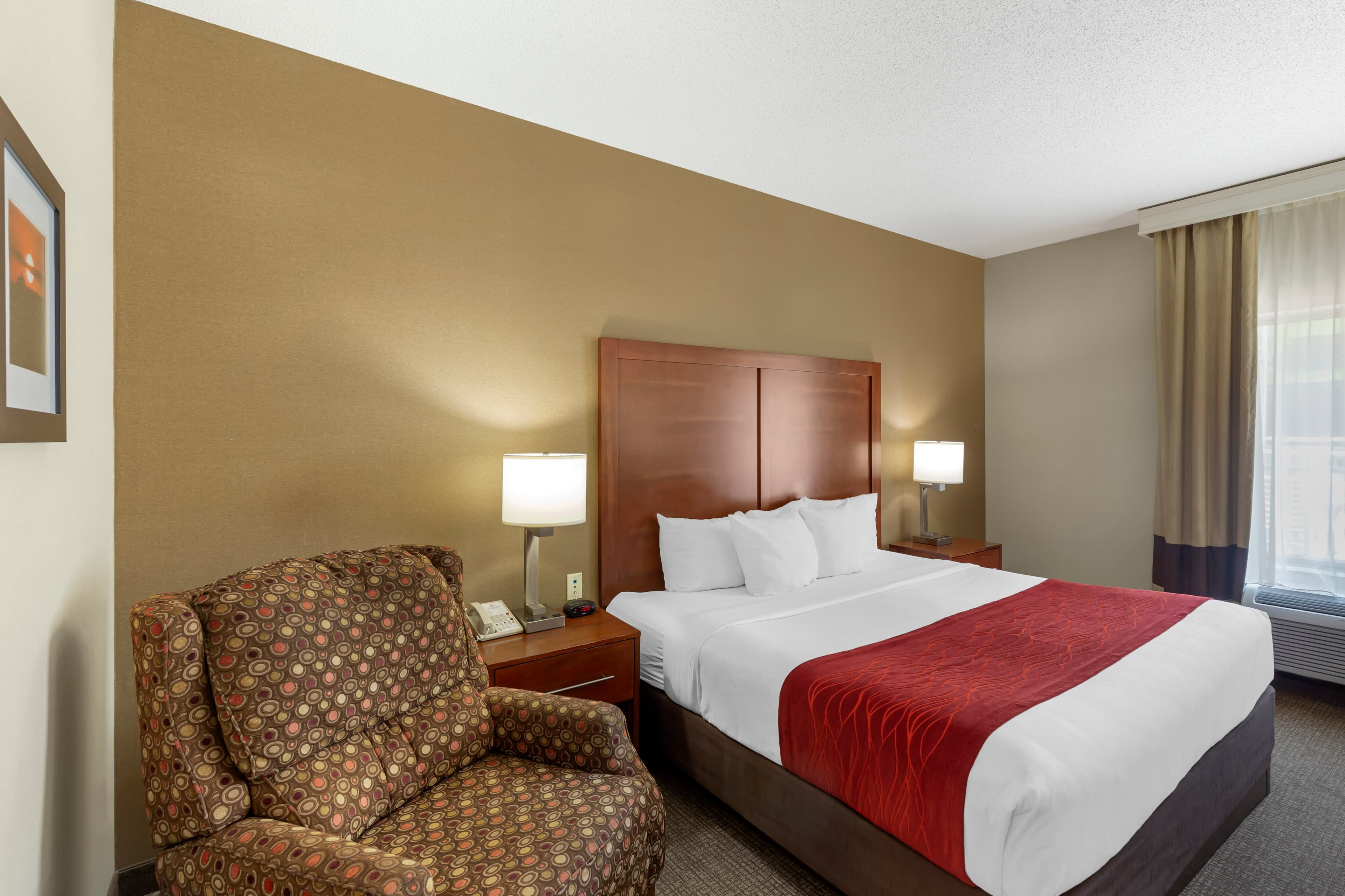 Comfort Inn & Suites Rapid City South - Mt Rushmore Gateway — 8