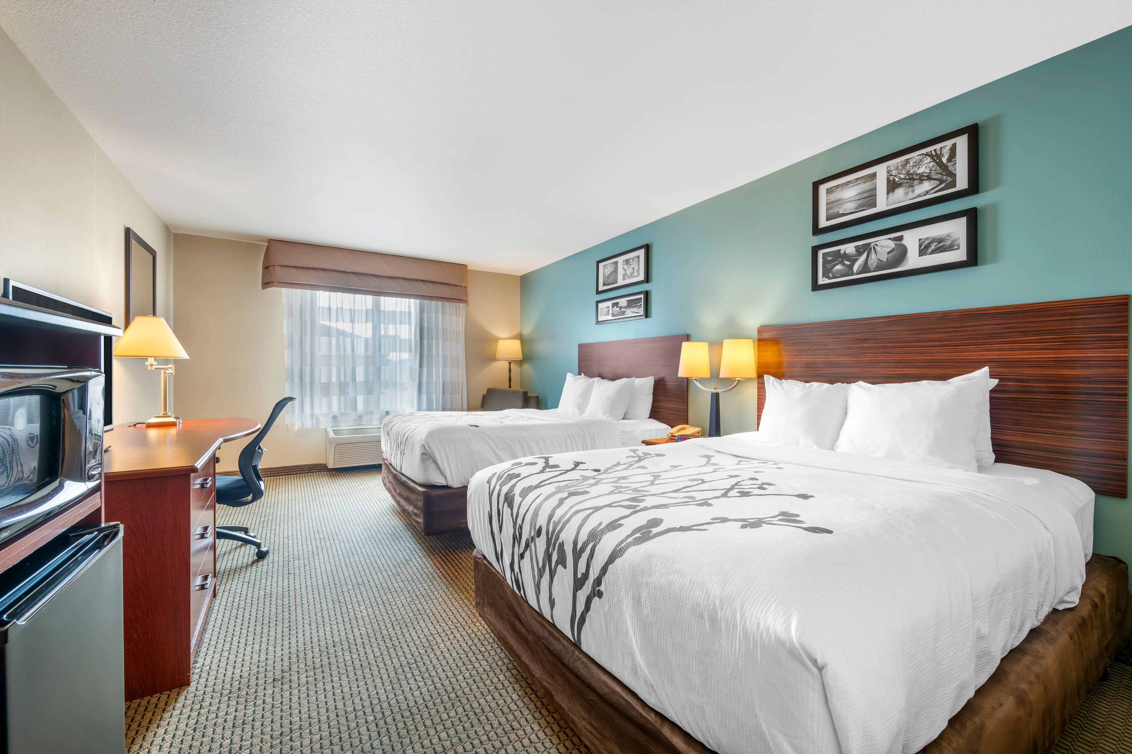 Sleep Inn & Suites Rapid City - Image 2