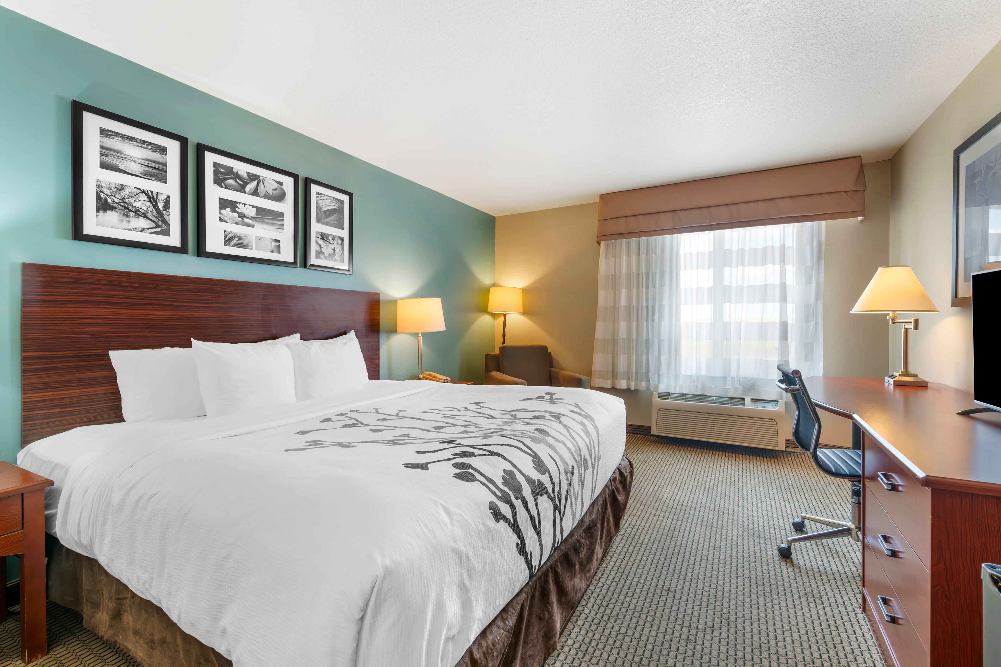 Sleep Inn & Suites Rapid City — 6