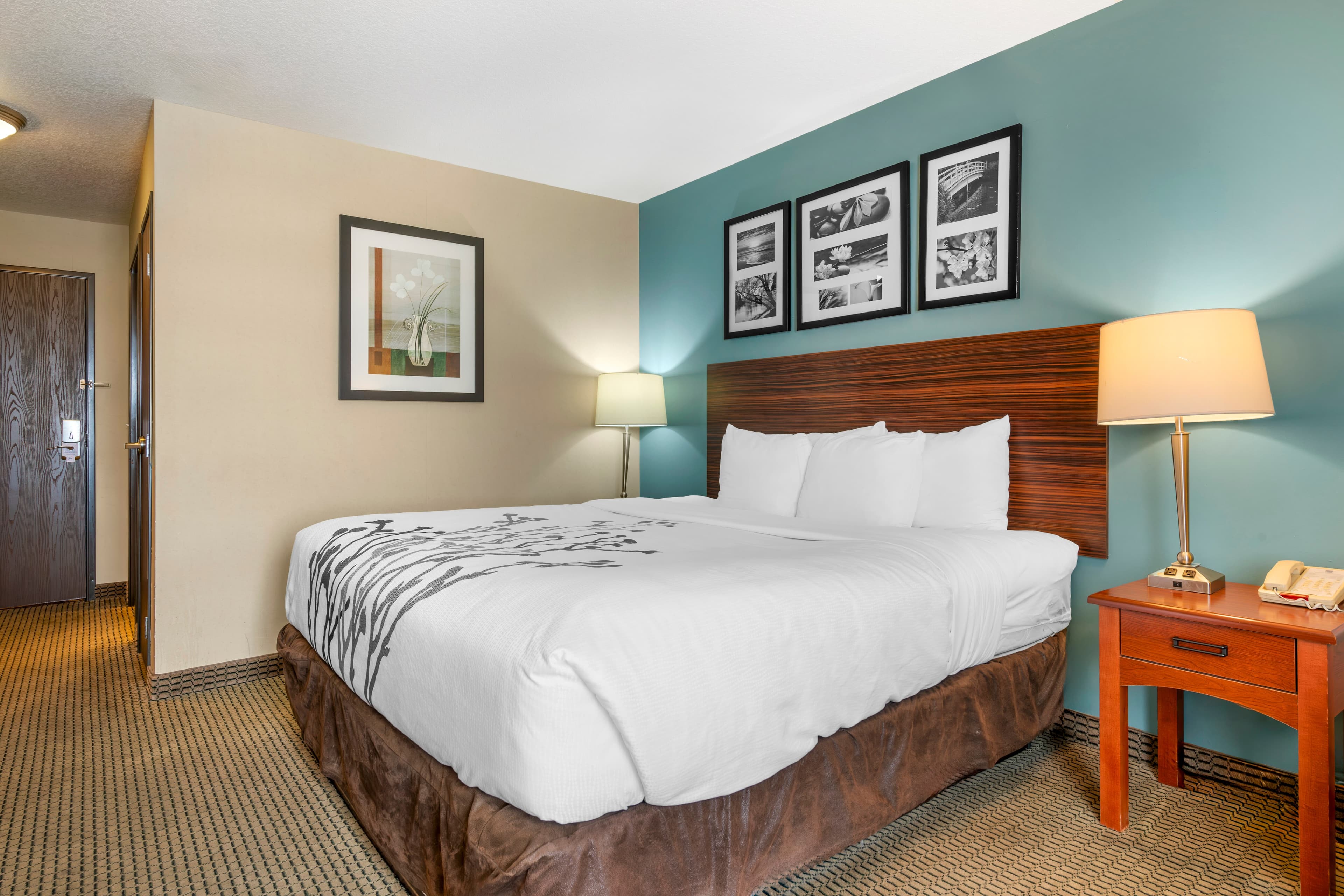 Sleep Inn & Suites Rapid City — 7