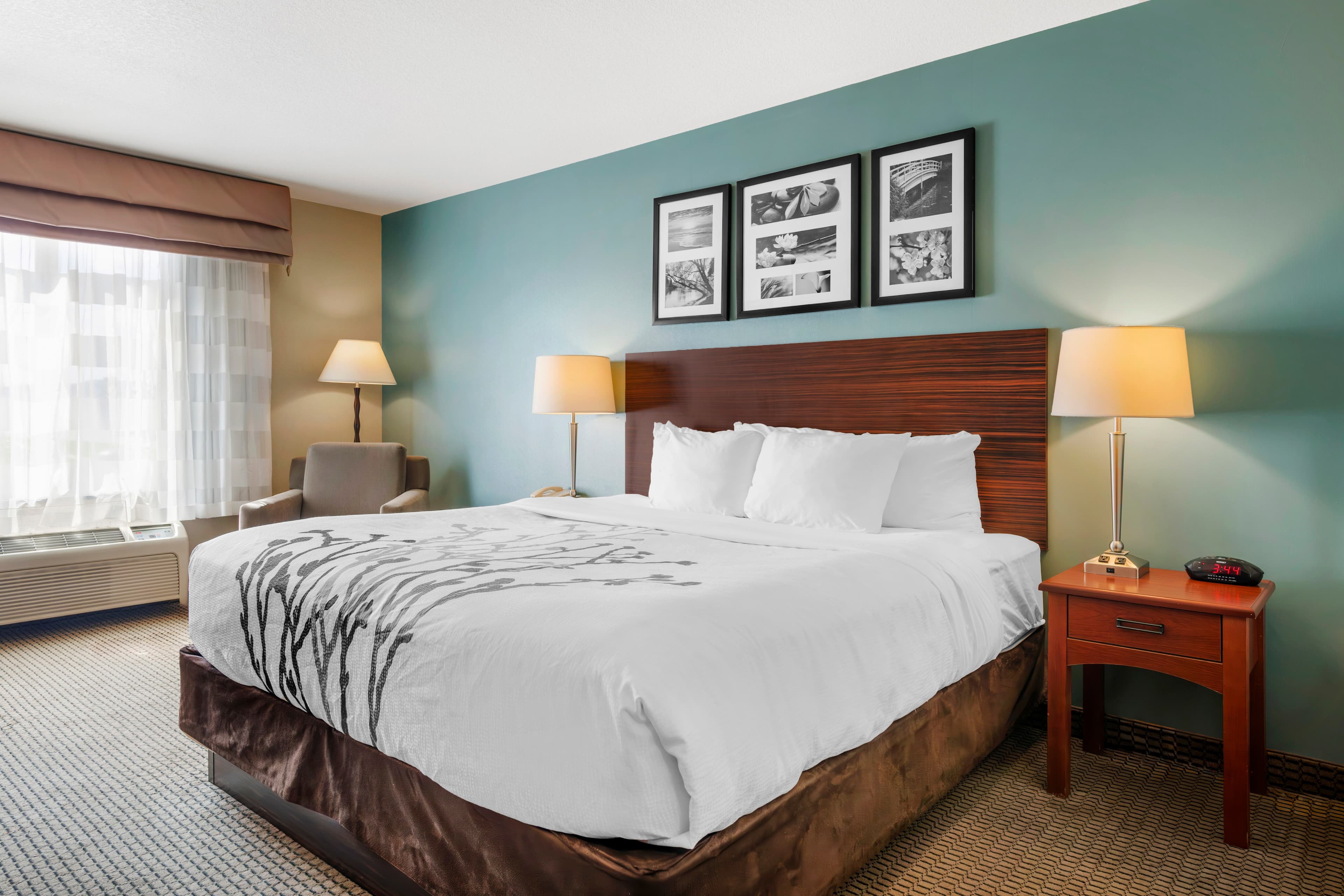 Sleep Inn & Suites Rapid City — 10