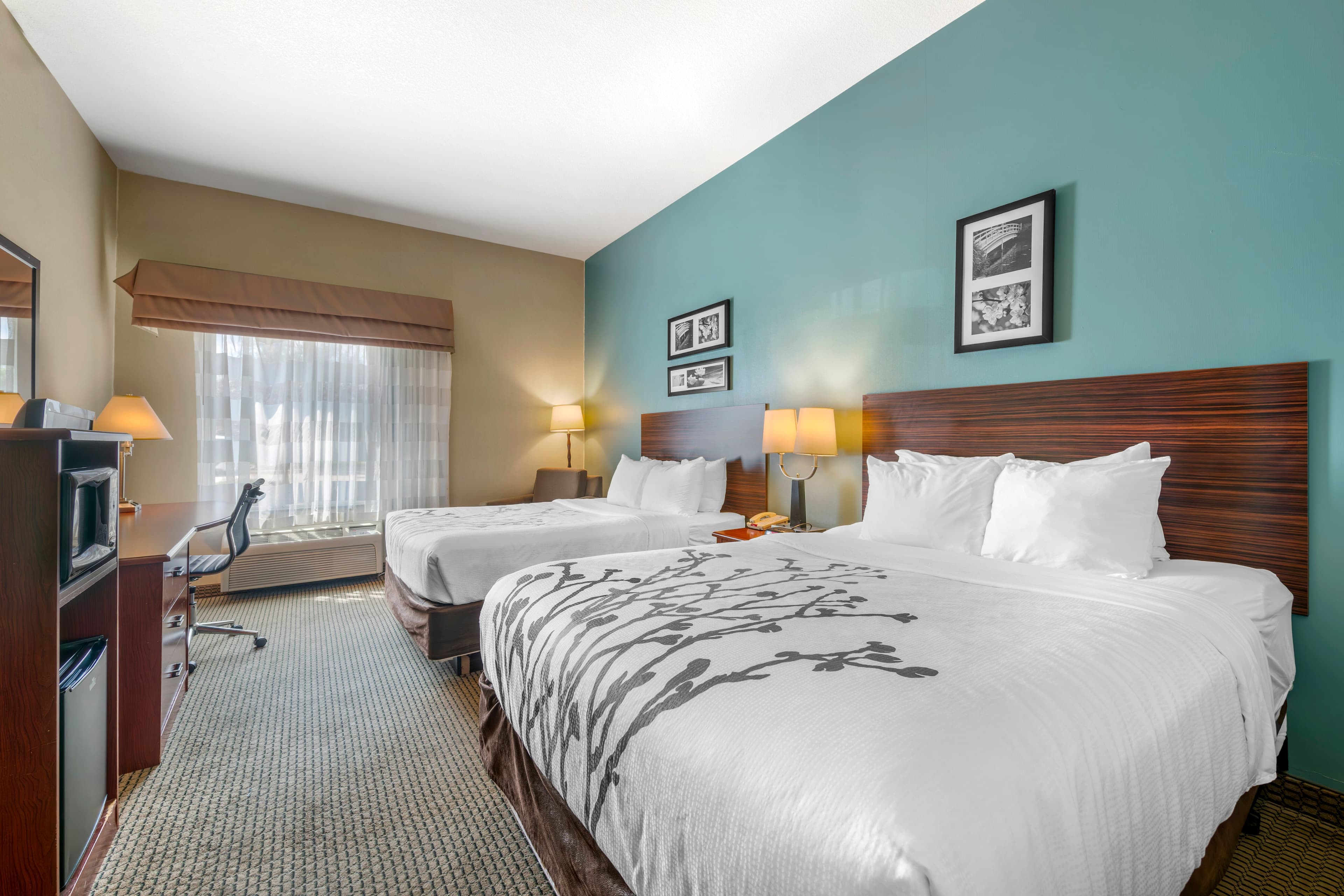 Sleep Inn & Suites Rapid City — 14