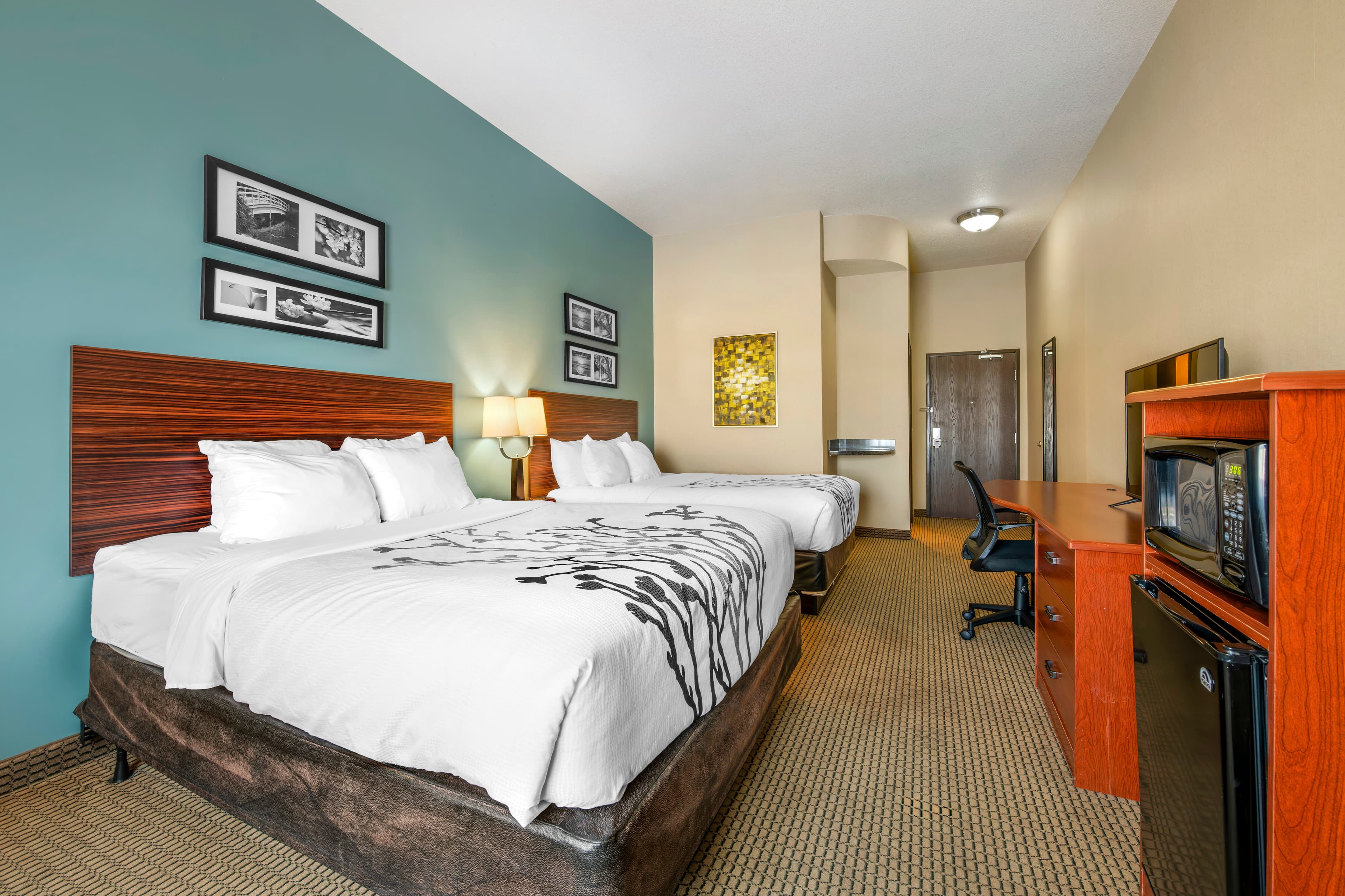 Sleep Inn & Suites Rapid City — 19