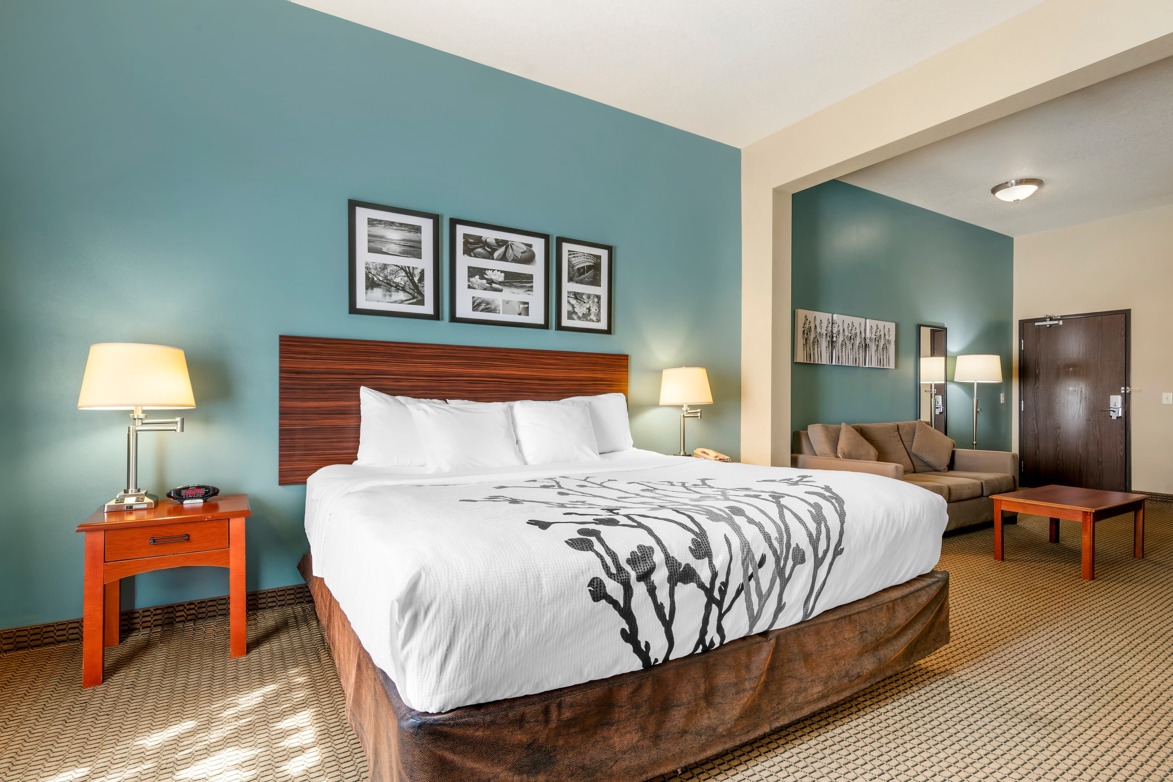 Sleep Inn & Suites Rapid City — 22