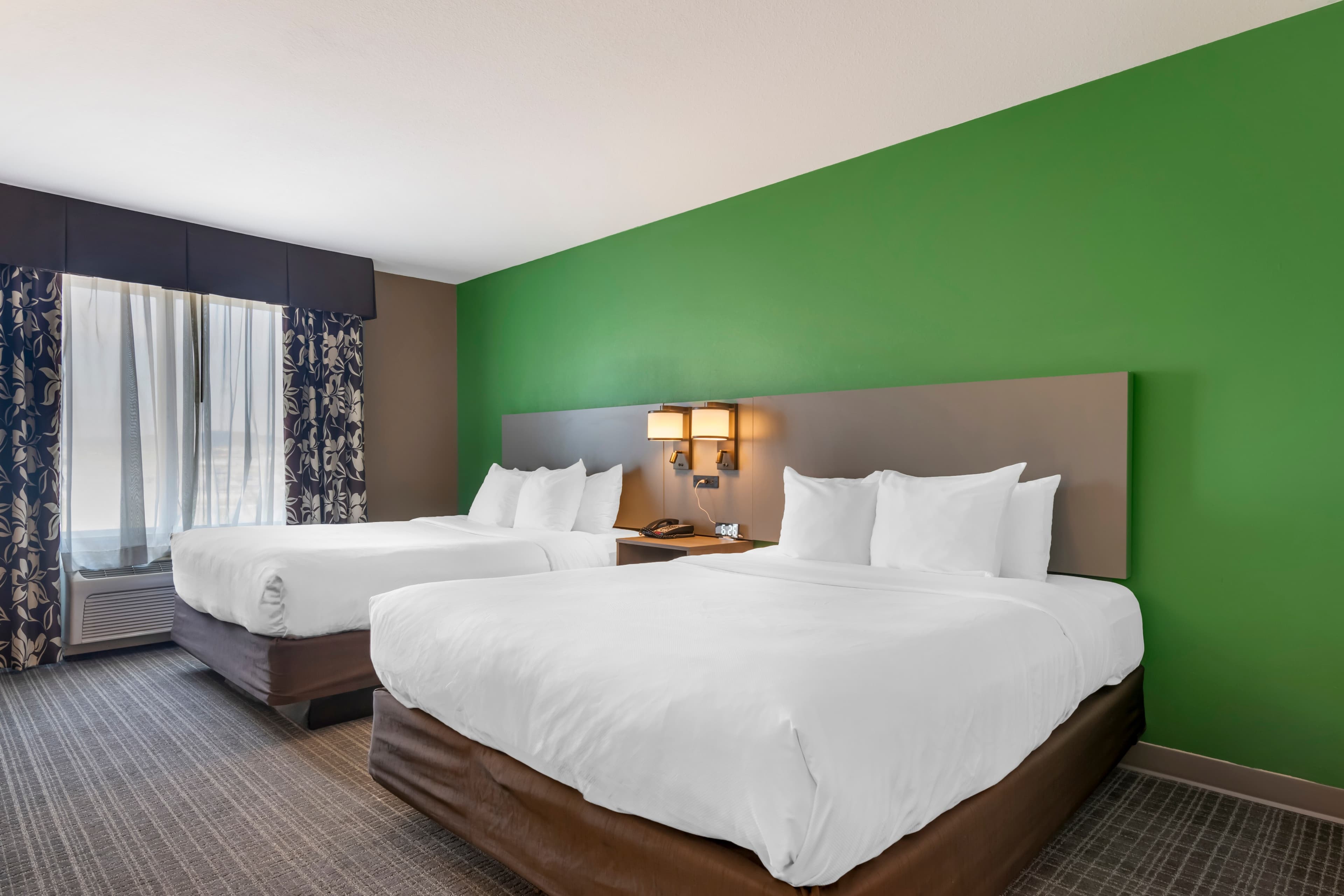 Comfort Suites Conference Center Rapid City — 14