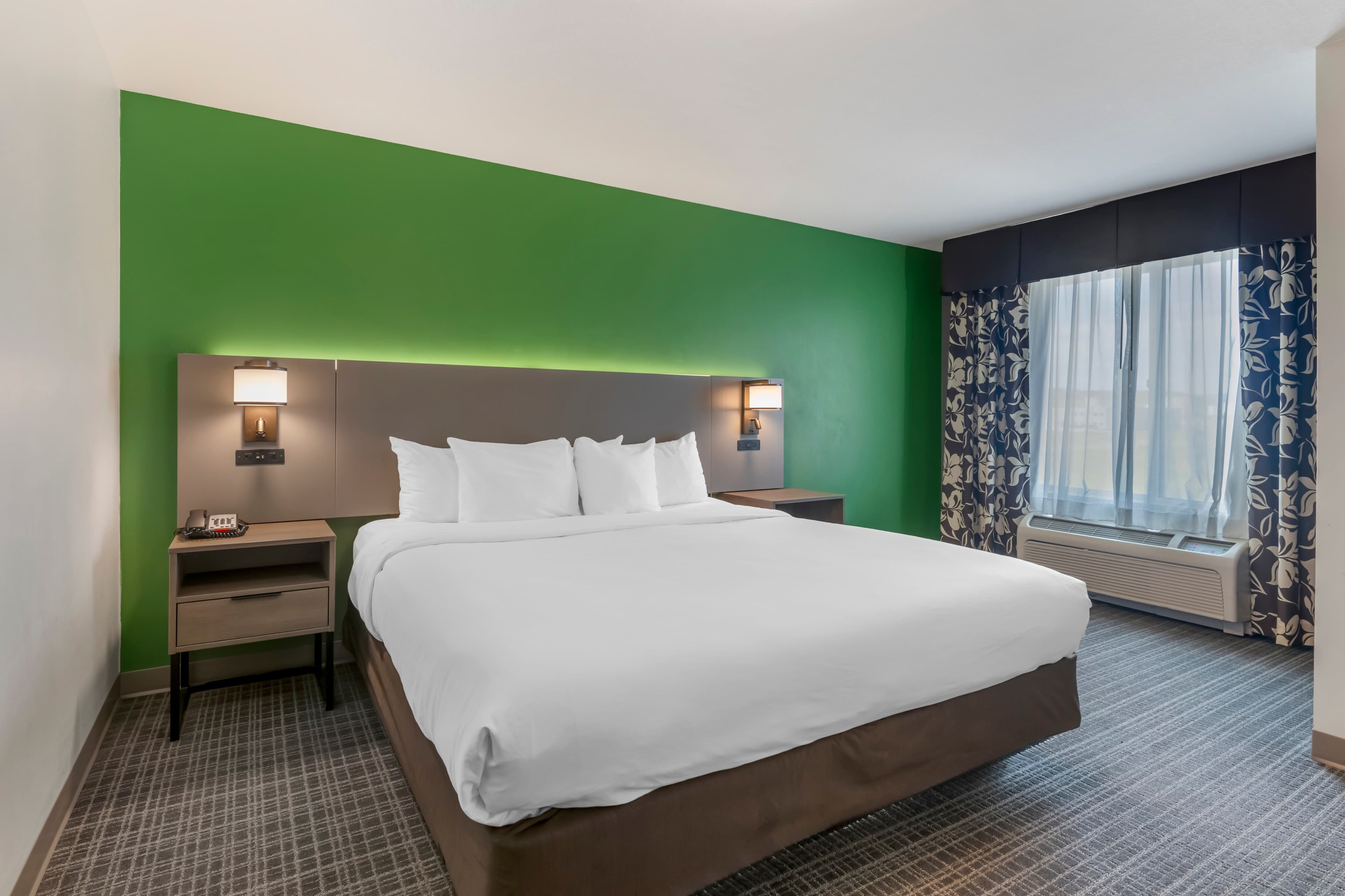 Comfort Suites Conference Center Rapid City — 35