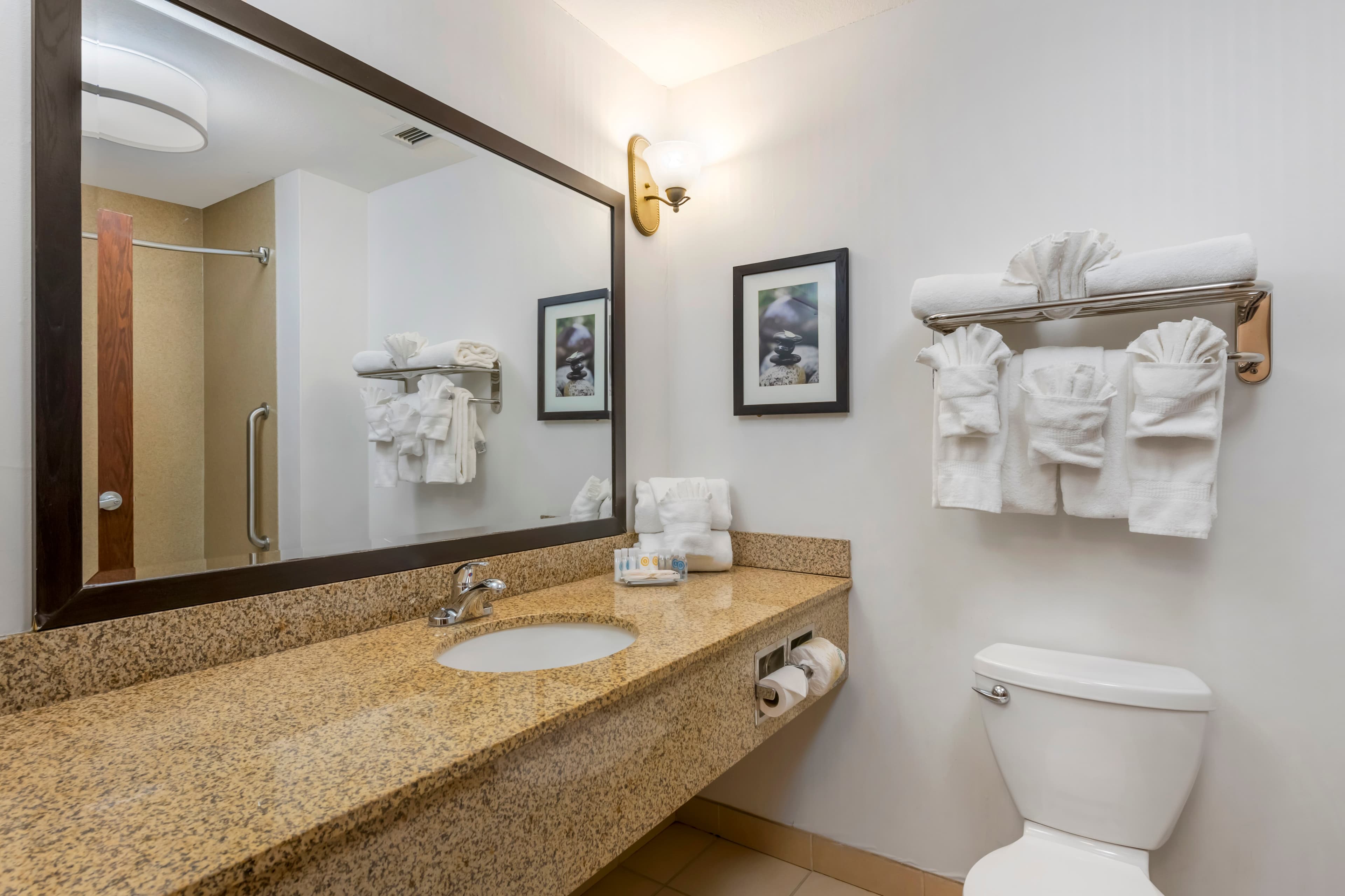 Comfort Suites Conference Center Rapid City — 16