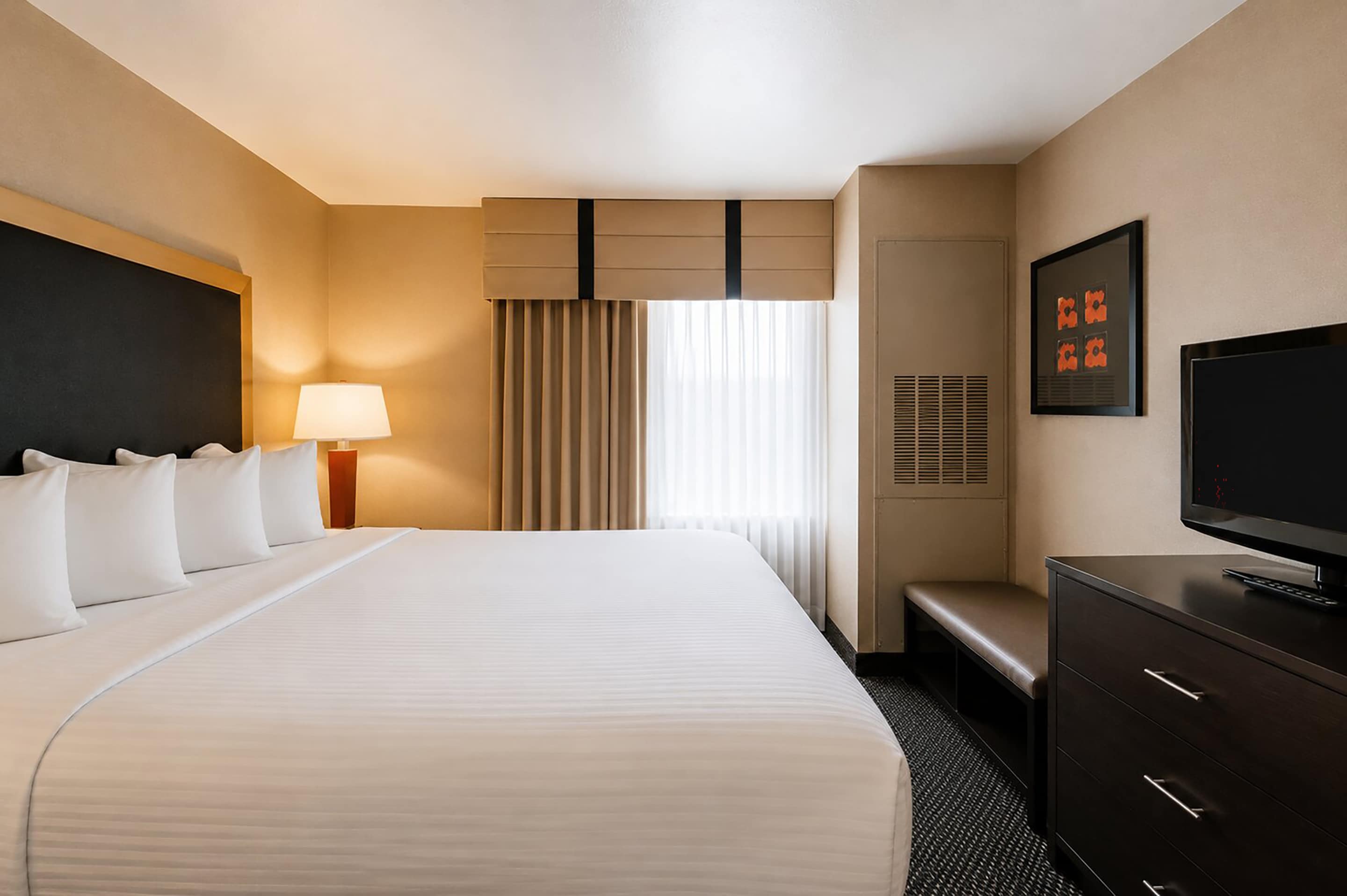 Cambria Hotel Rapid City near Mount Rushmore — 2