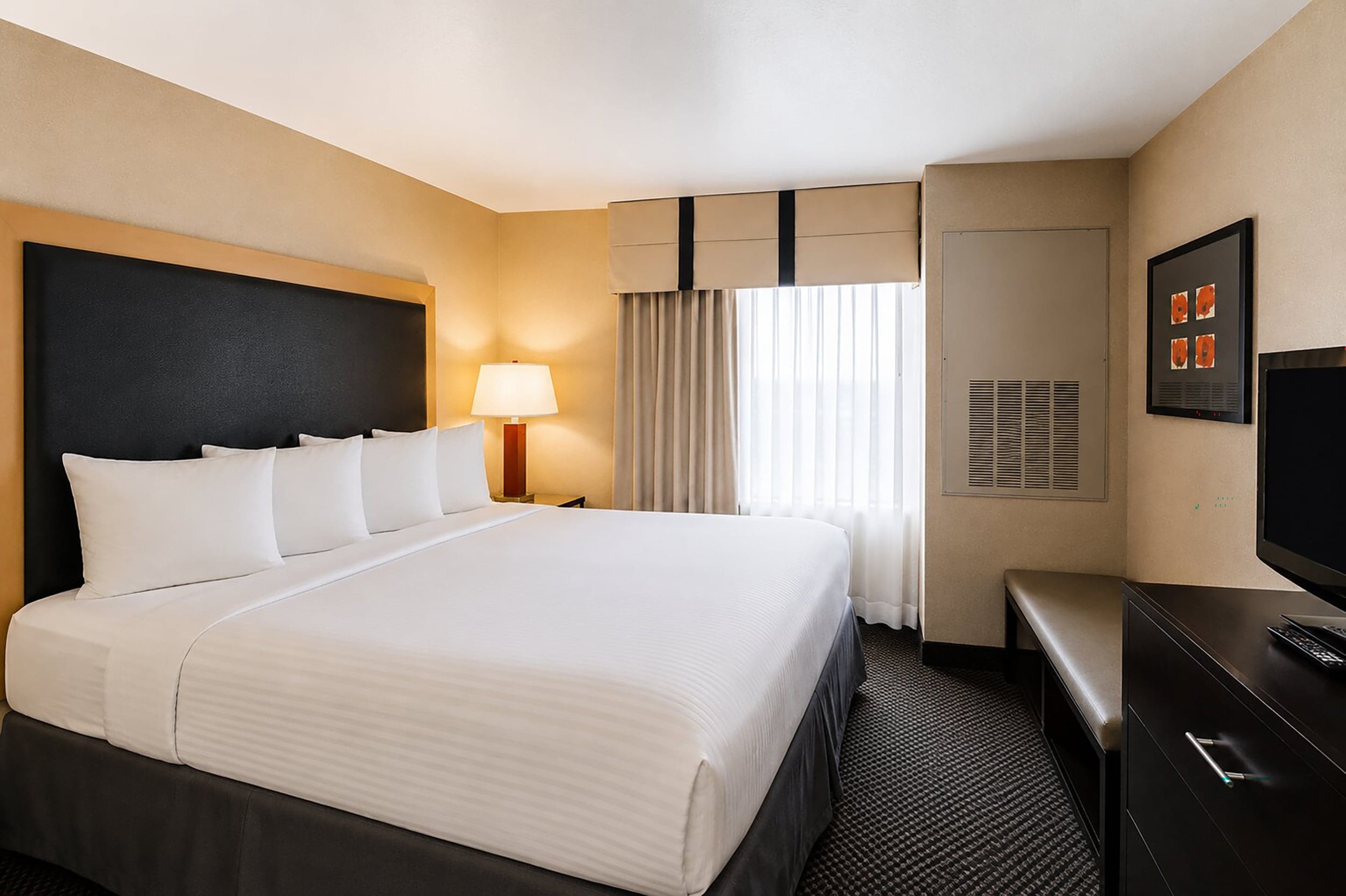 Cambria Hotel Rapid City near Mount Rushmore — 4