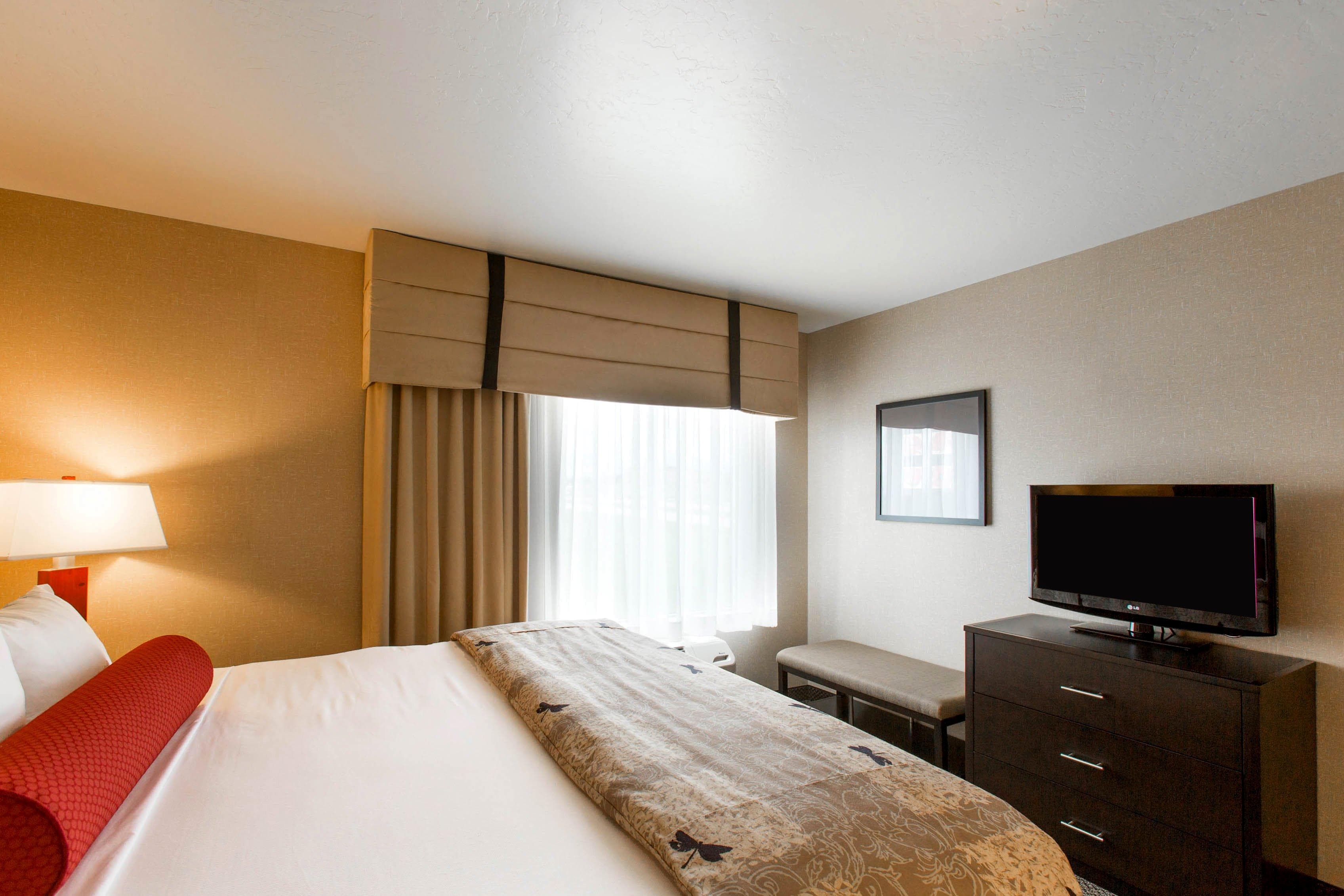 Cambria Hotel Rapid City near Mount Rushmore - Image 3