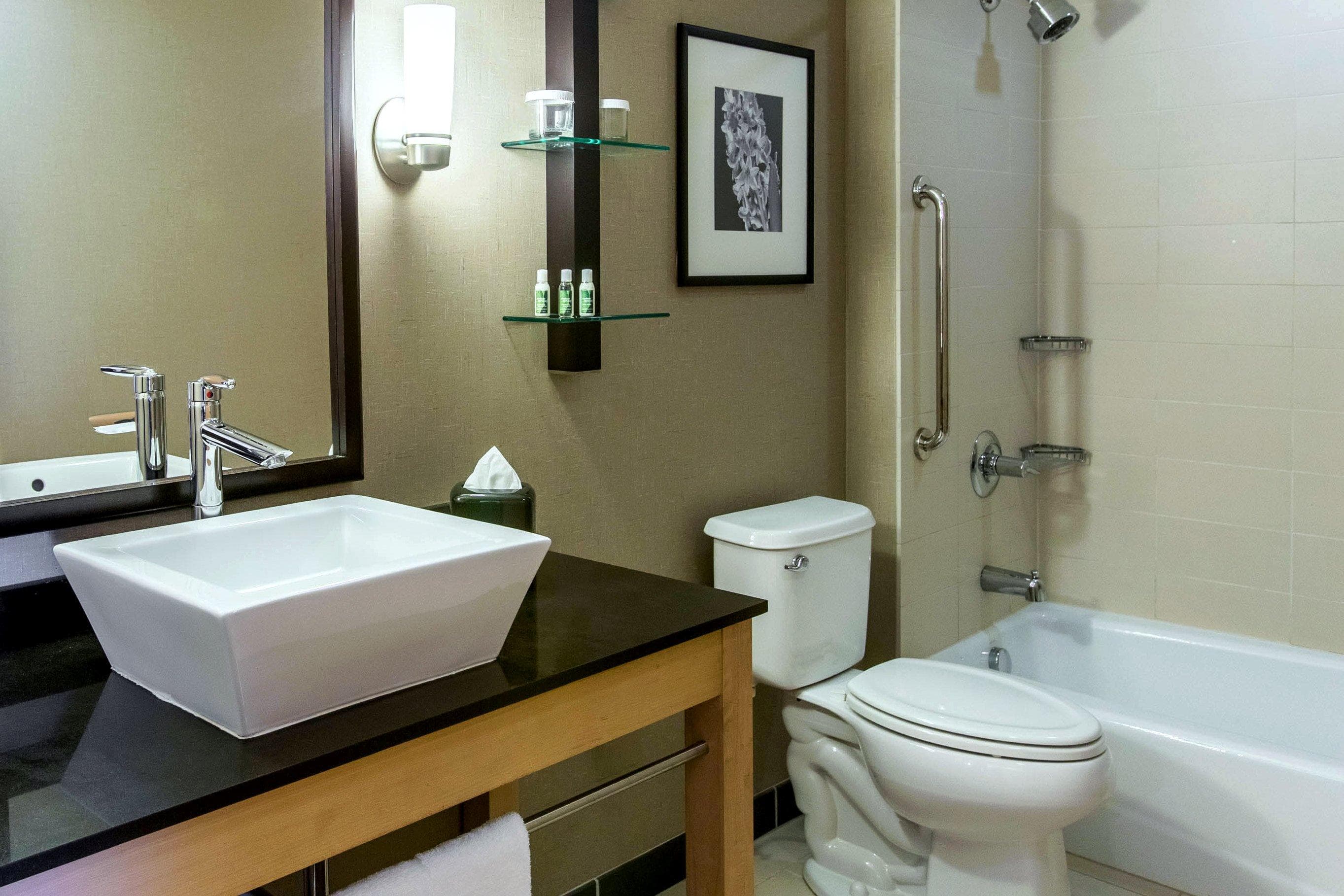 Cambria Hotel Rapid City near Mount Rushmore — 13