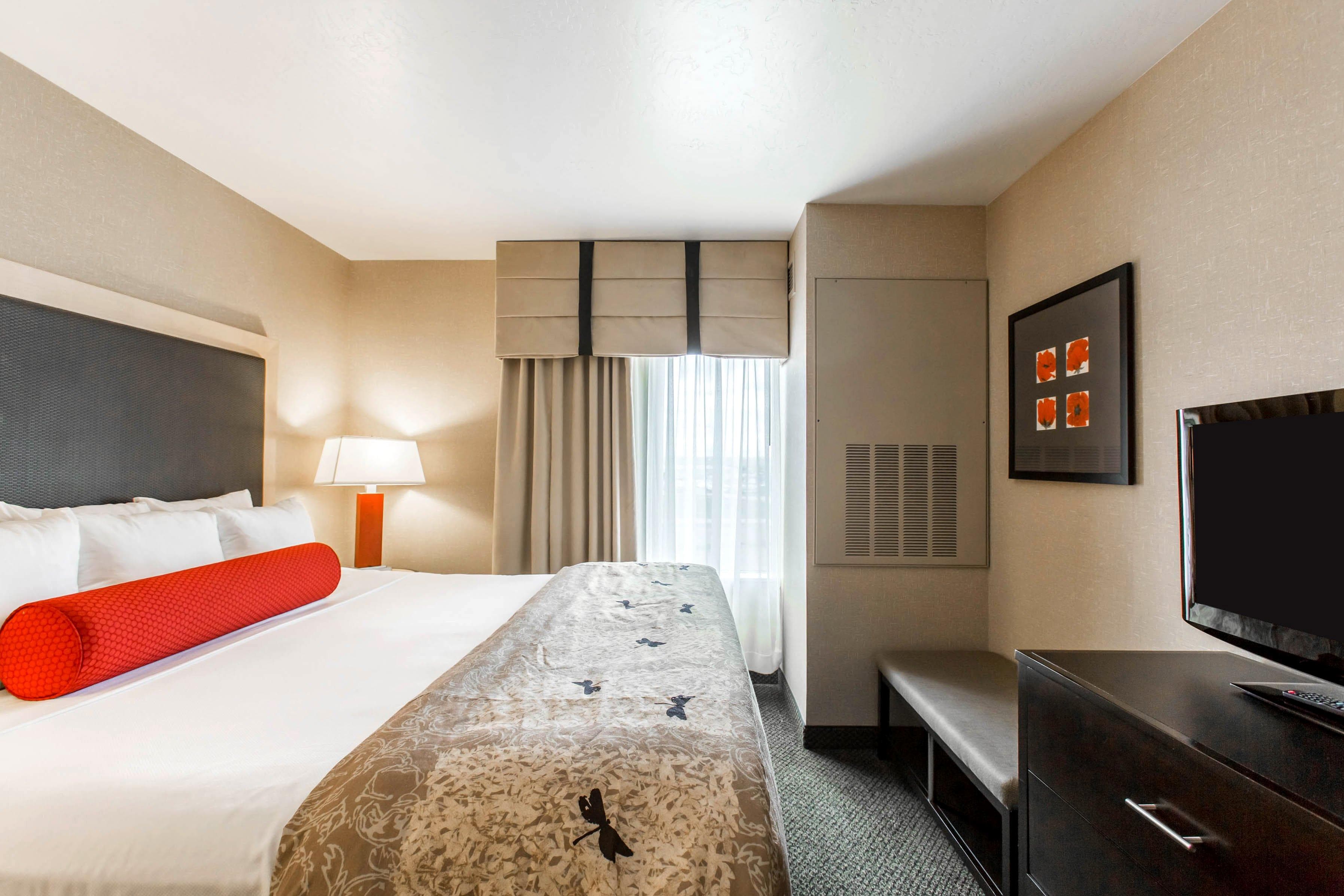 Cambria Hotel Rapid City near Mount Rushmore — 9