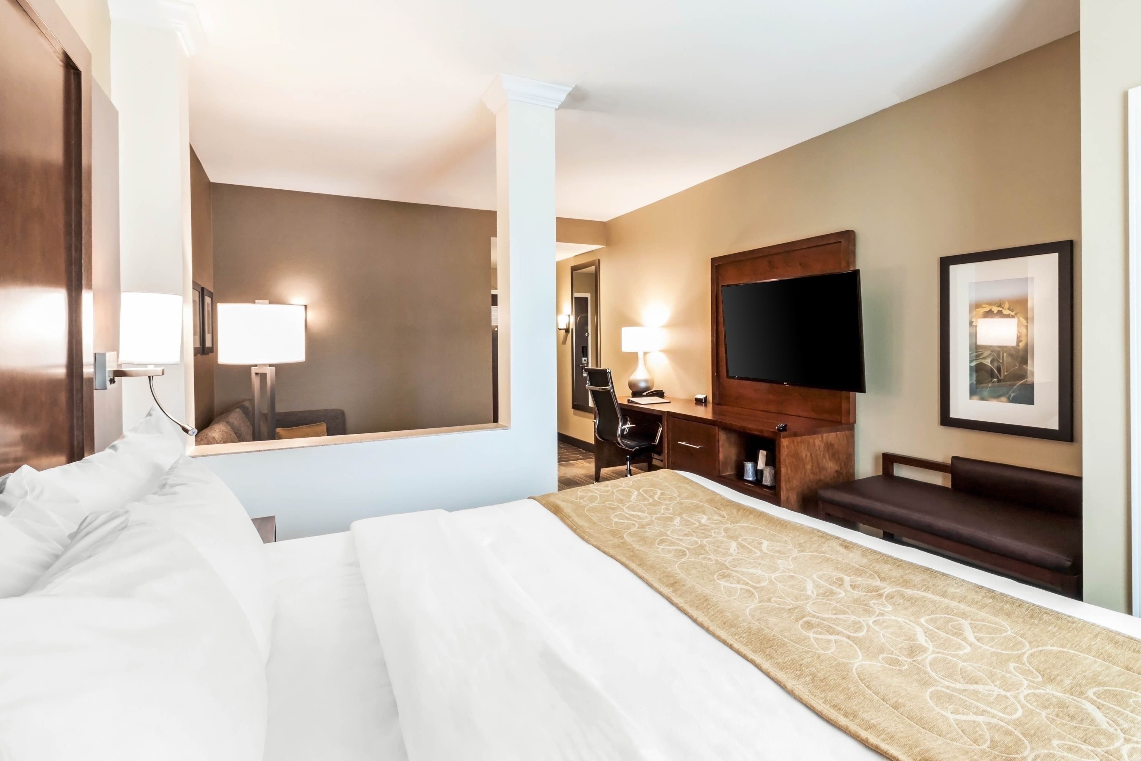 Comfort Suites University - Image 3