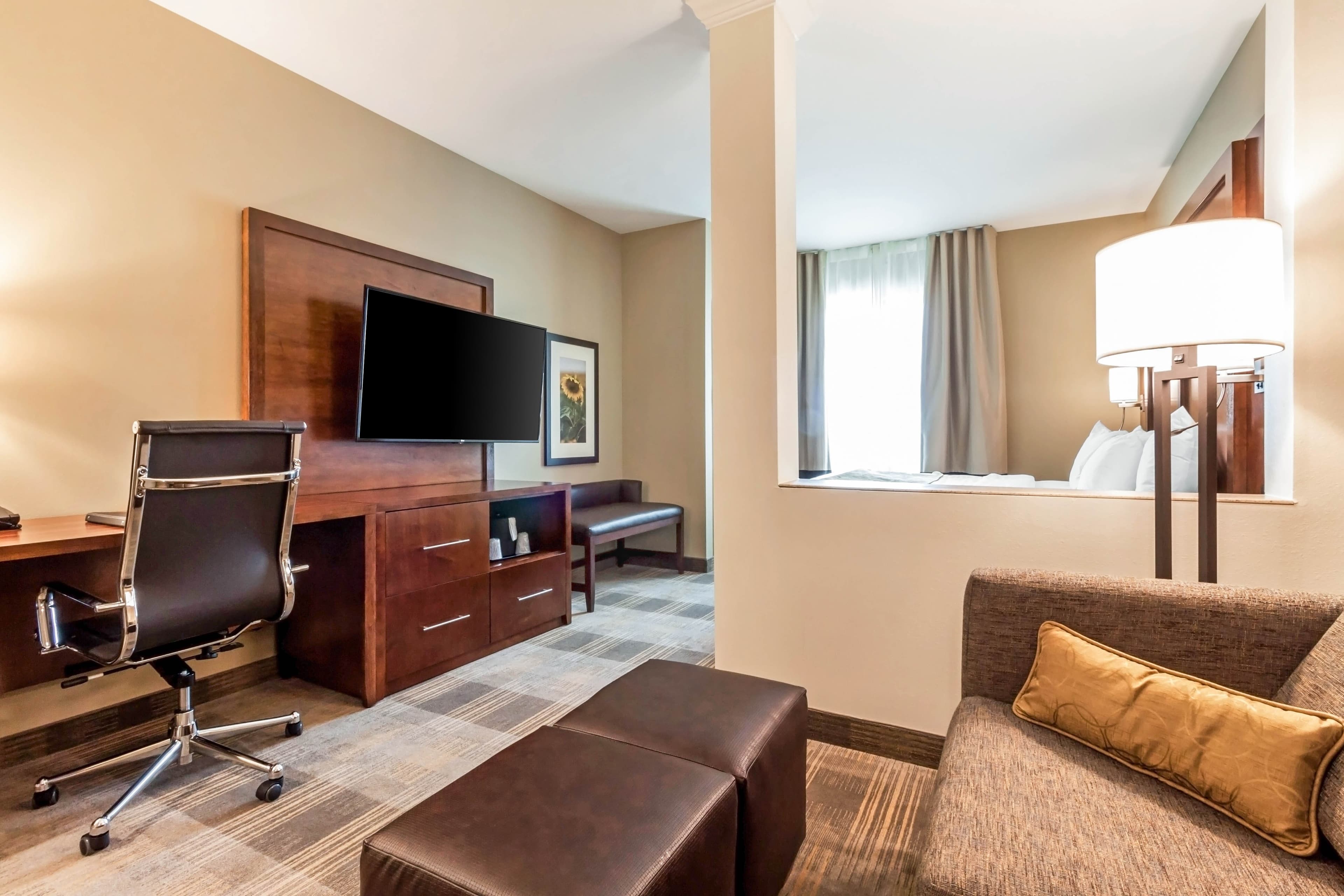 Comfort Suites University - Image 5