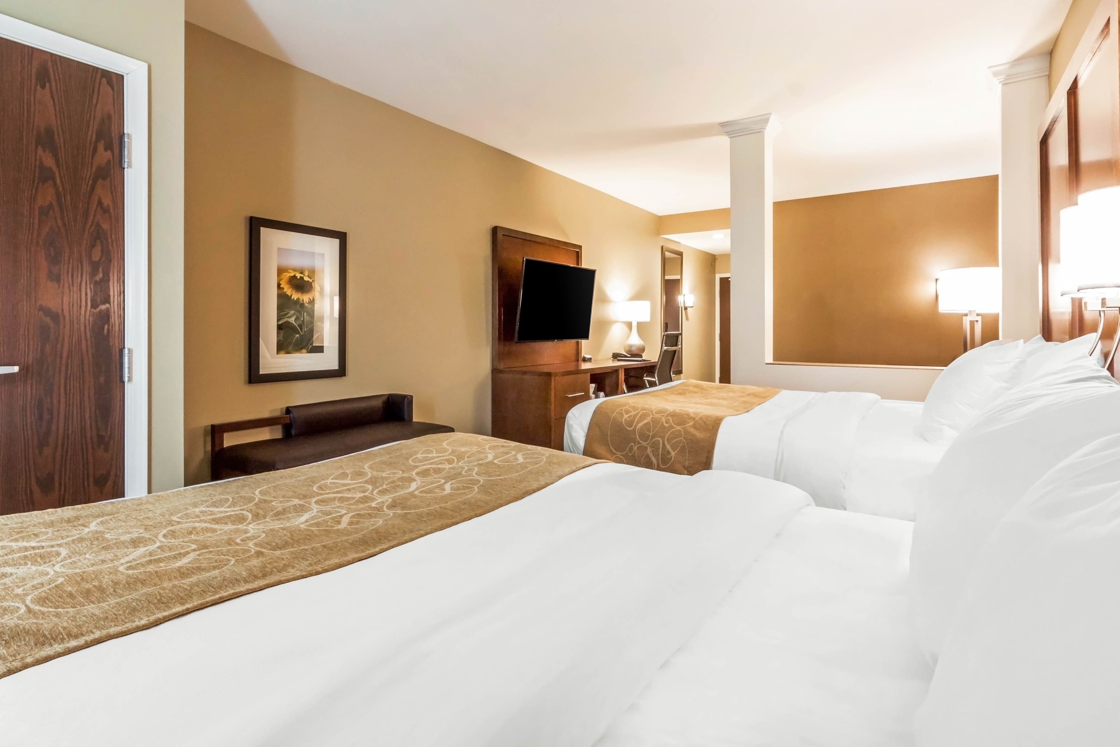 Comfort Suites University — 7