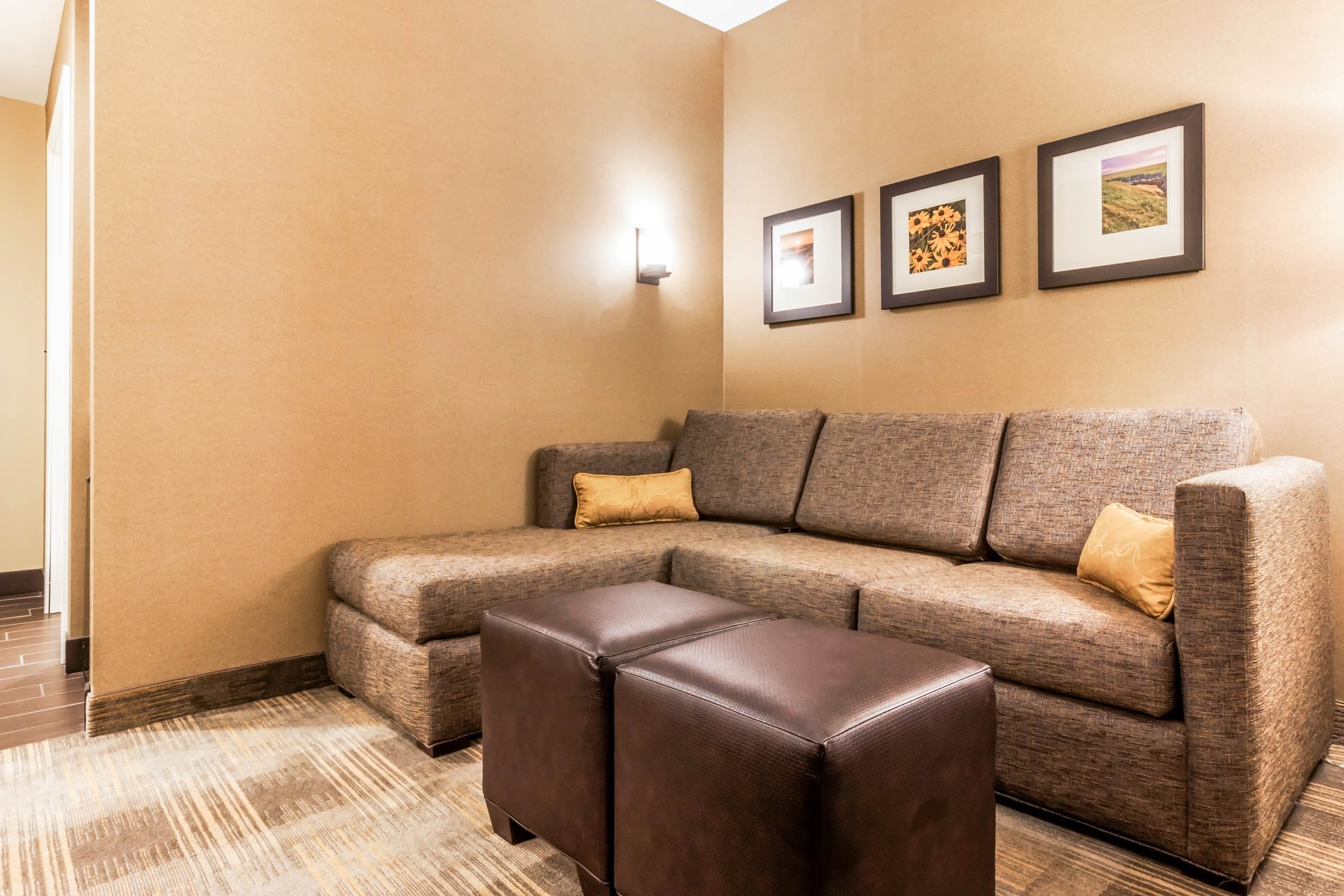 Comfort Suites University — 9