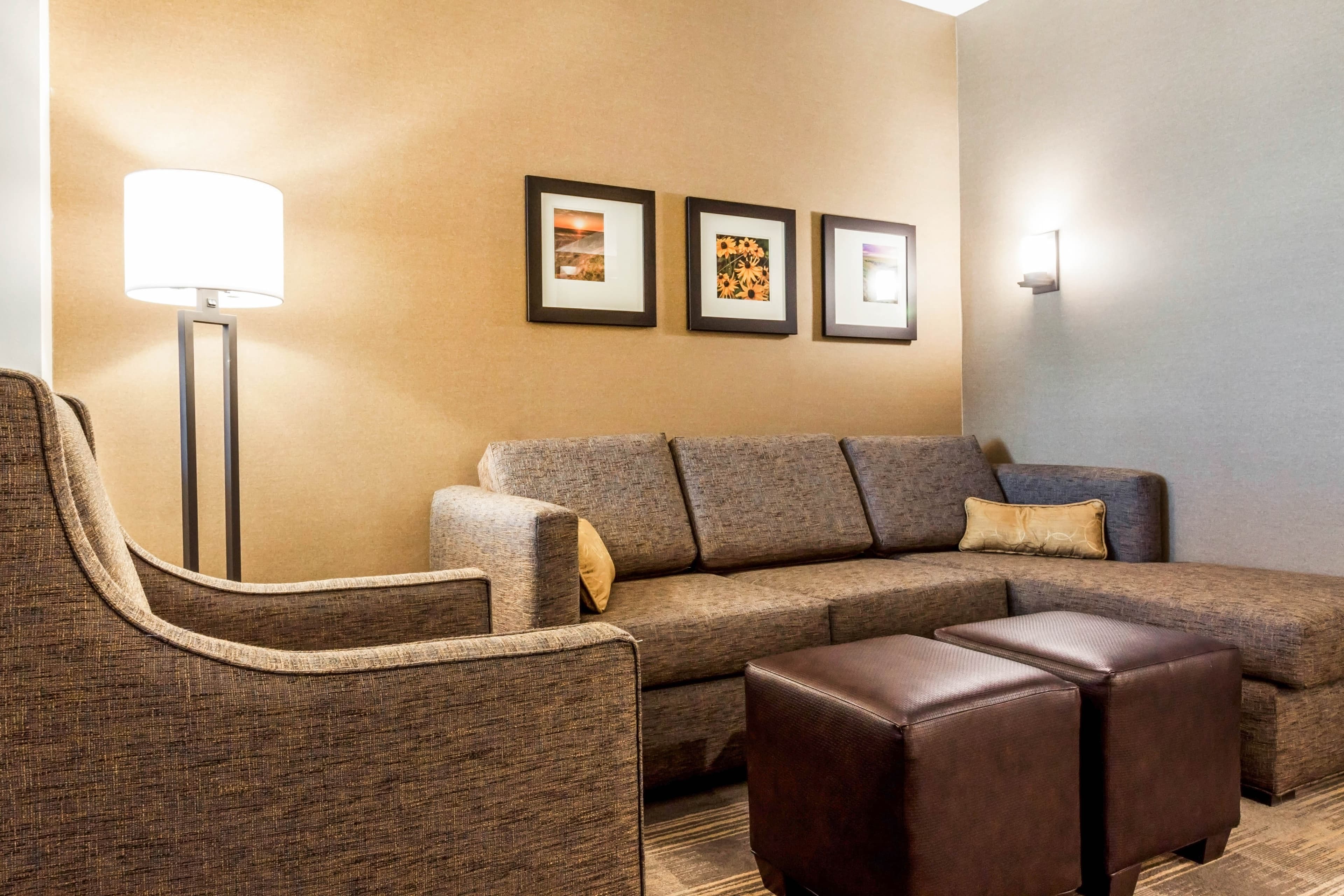 Comfort Suites University — 28