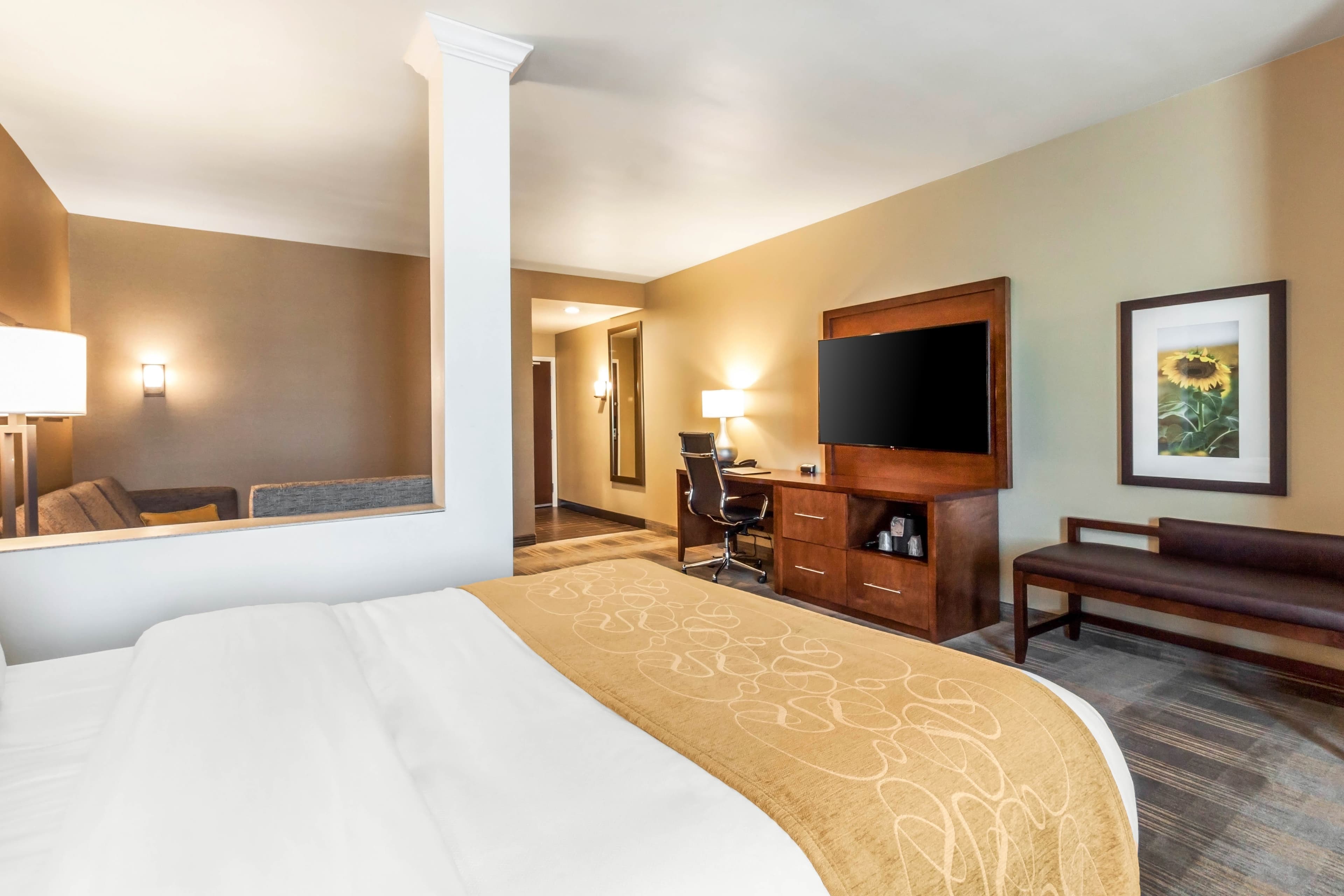 Comfort Suites University — 29