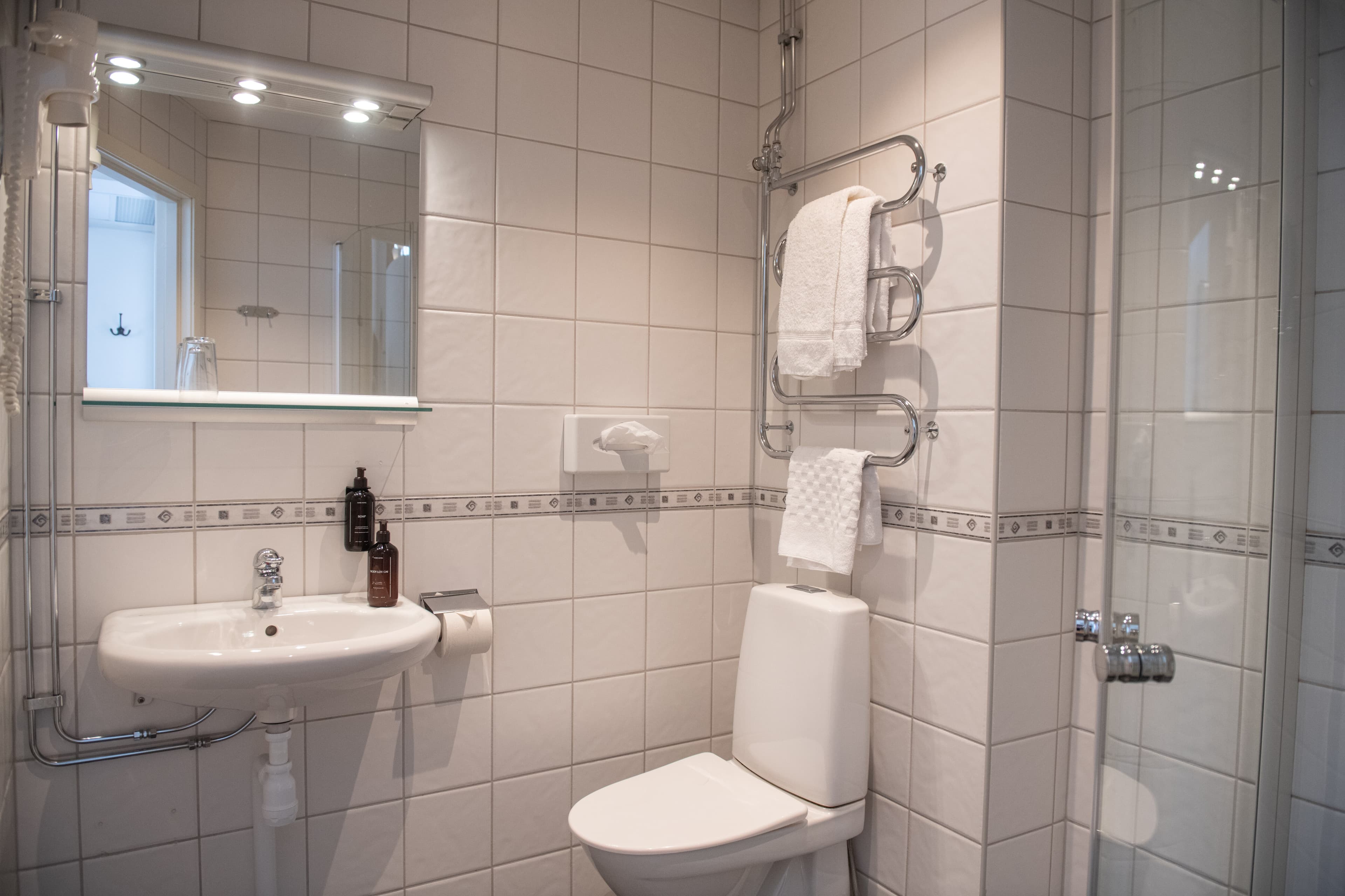 Home Hotel Drott — 13