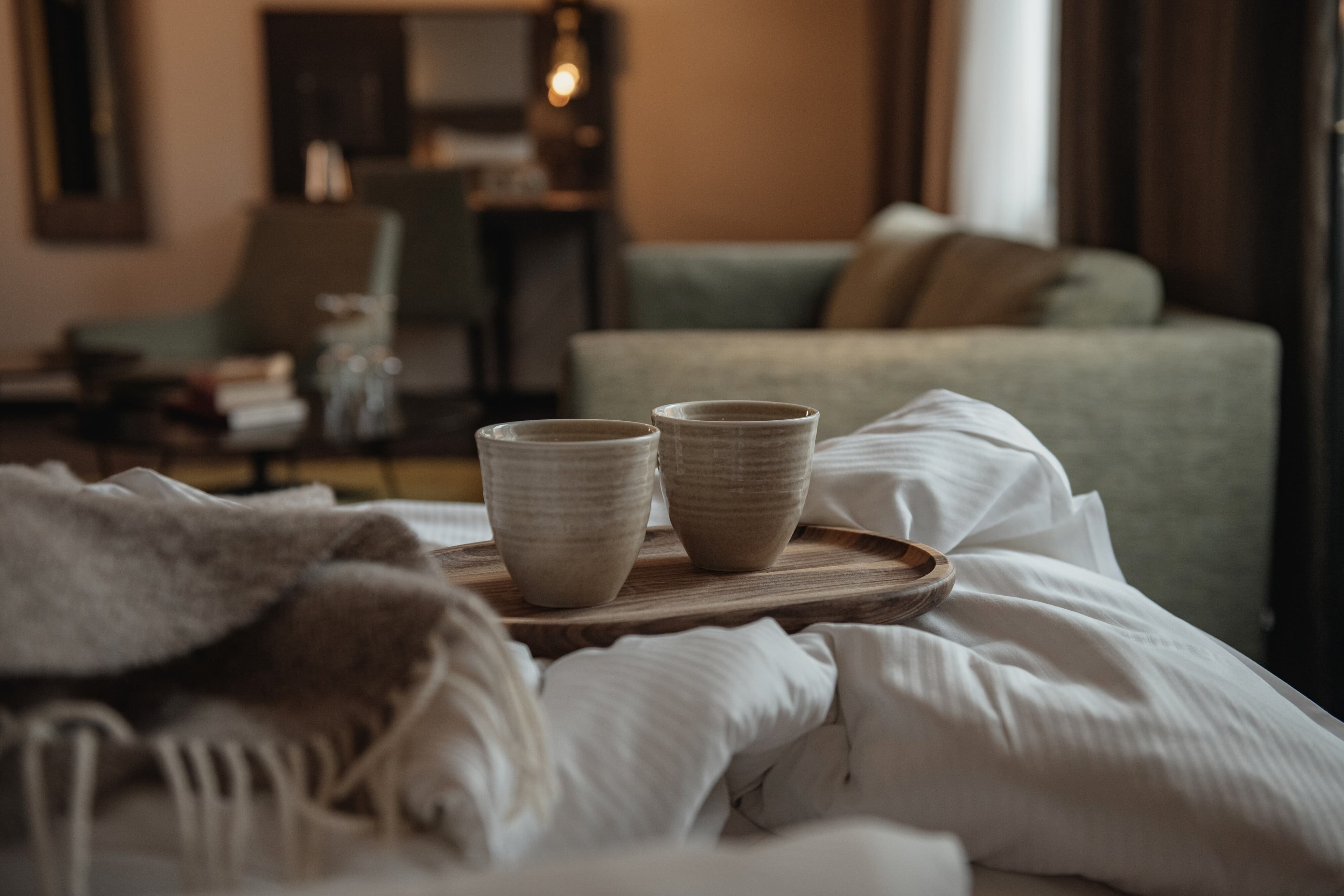 Home Hotel Slottsparken — 8