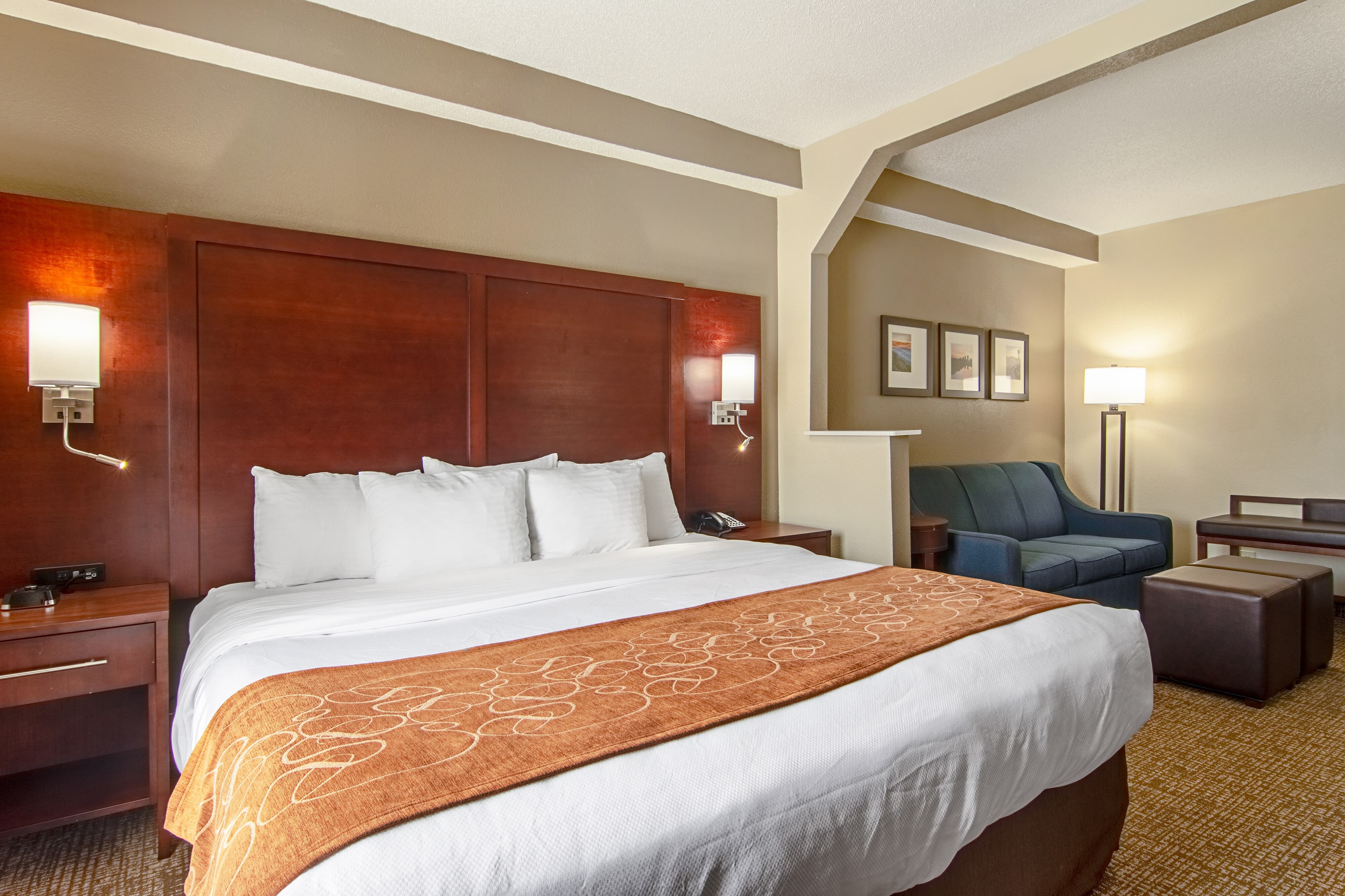 Comfort Suites Knoxville Airport - Image 2