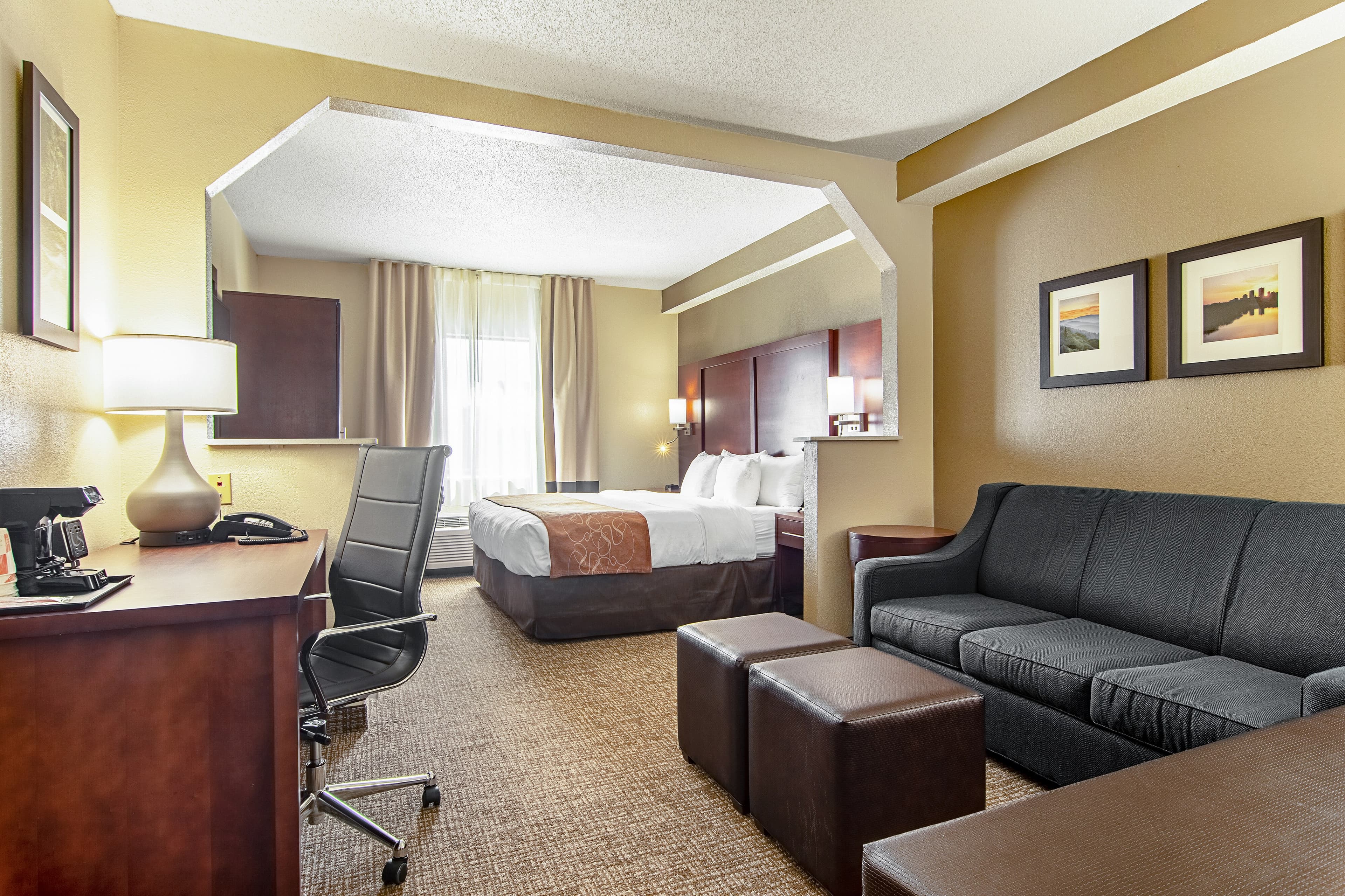 Comfort Suites Knoxville Airport - Image 3