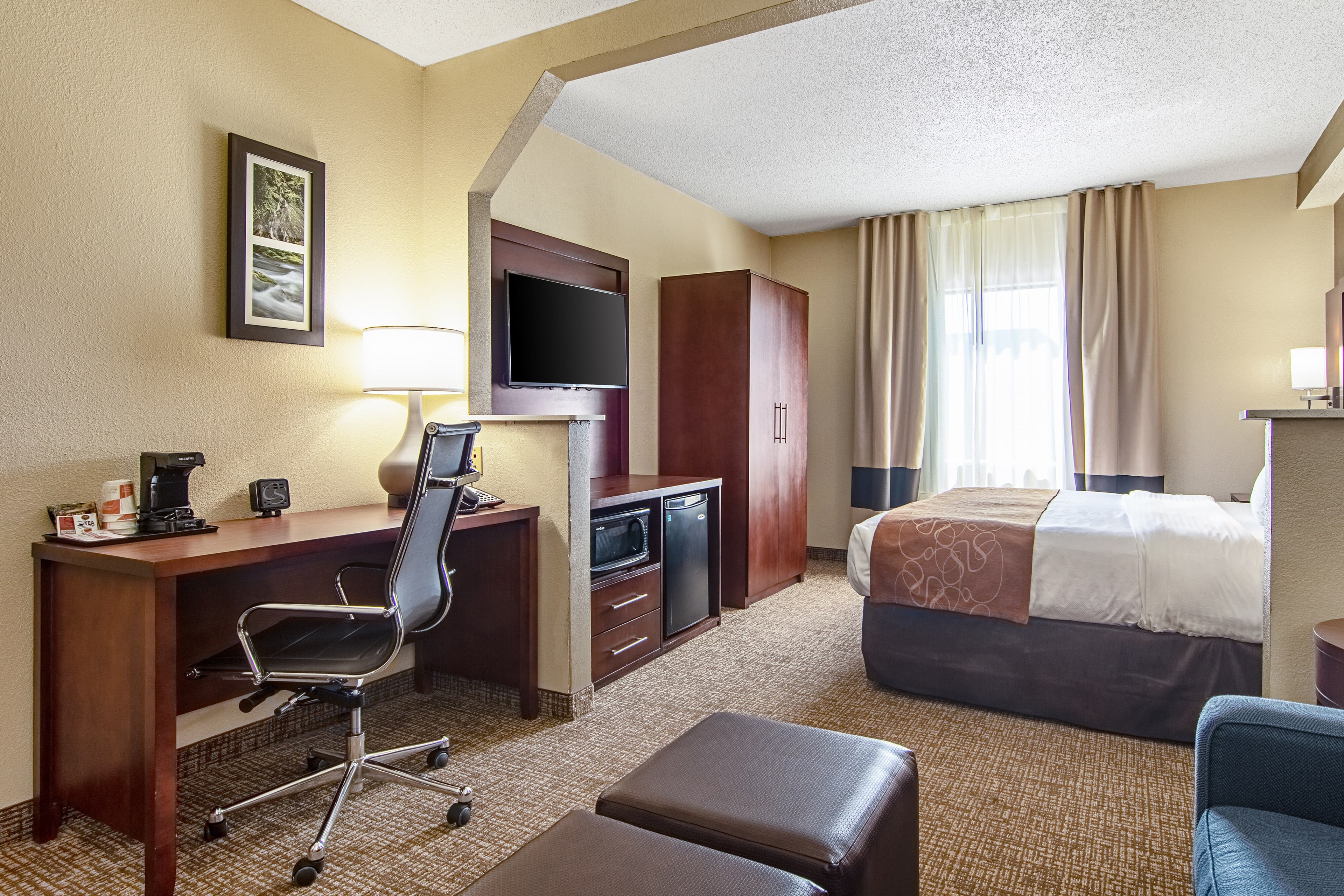 Comfort Suites Knoxville Airport - Image 4