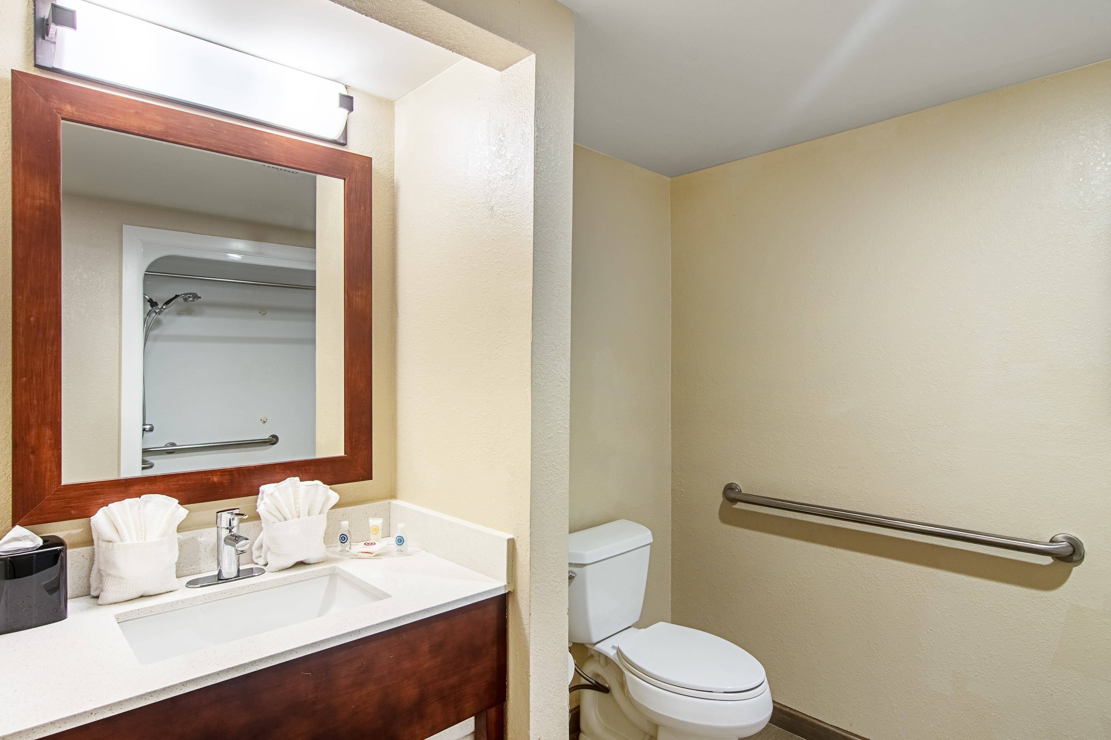 Comfort Suites Knoxville Airport - Image 5