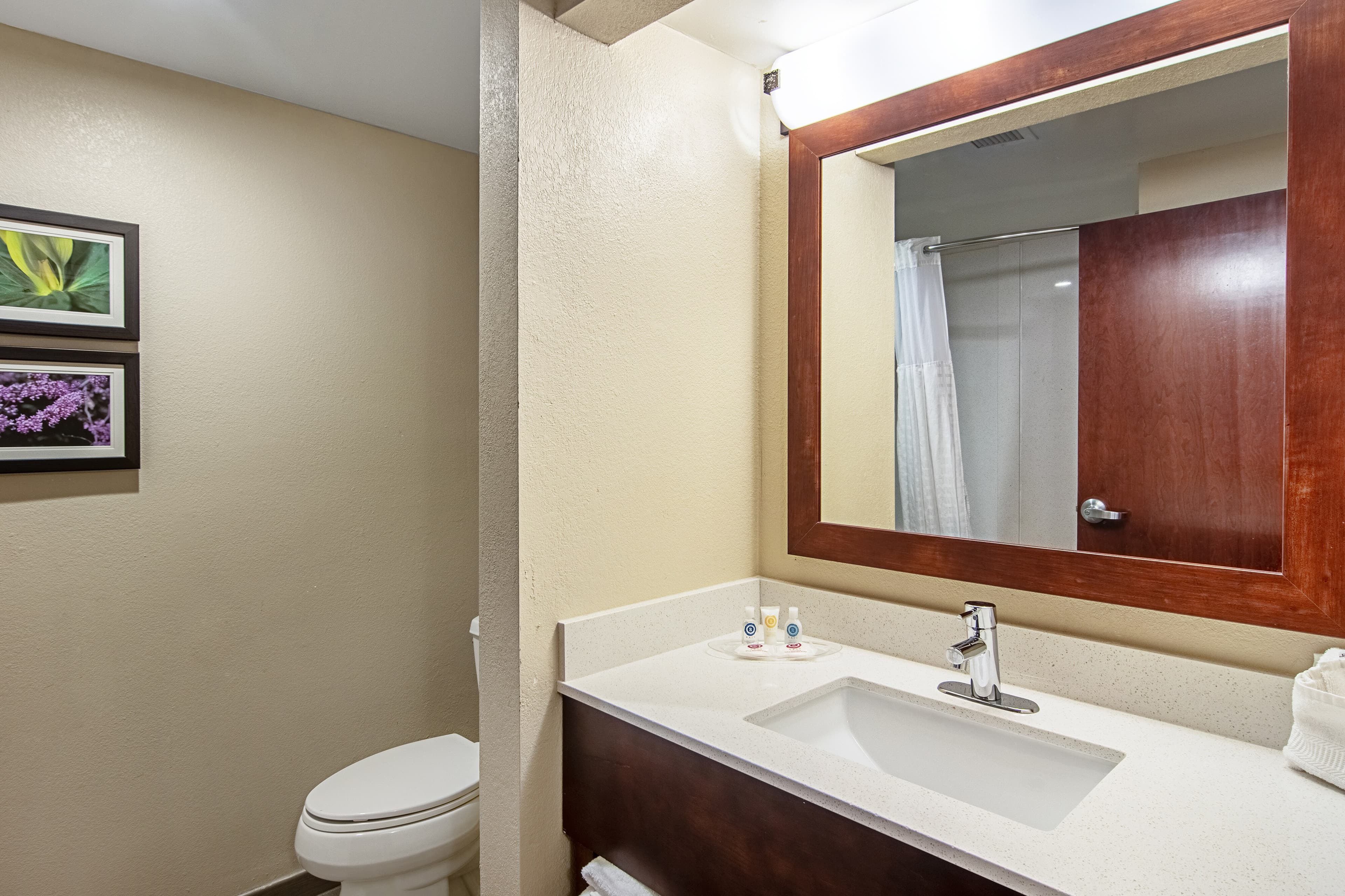Comfort Suites Knoxville Airport — 15