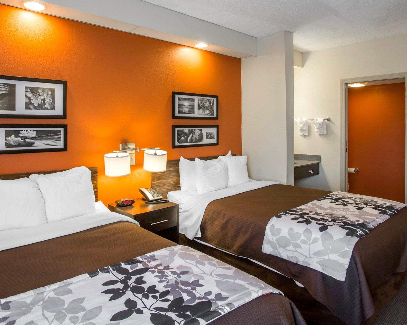 Sleep Inn Nashville - Brentwood - Cool Springs - Image 3