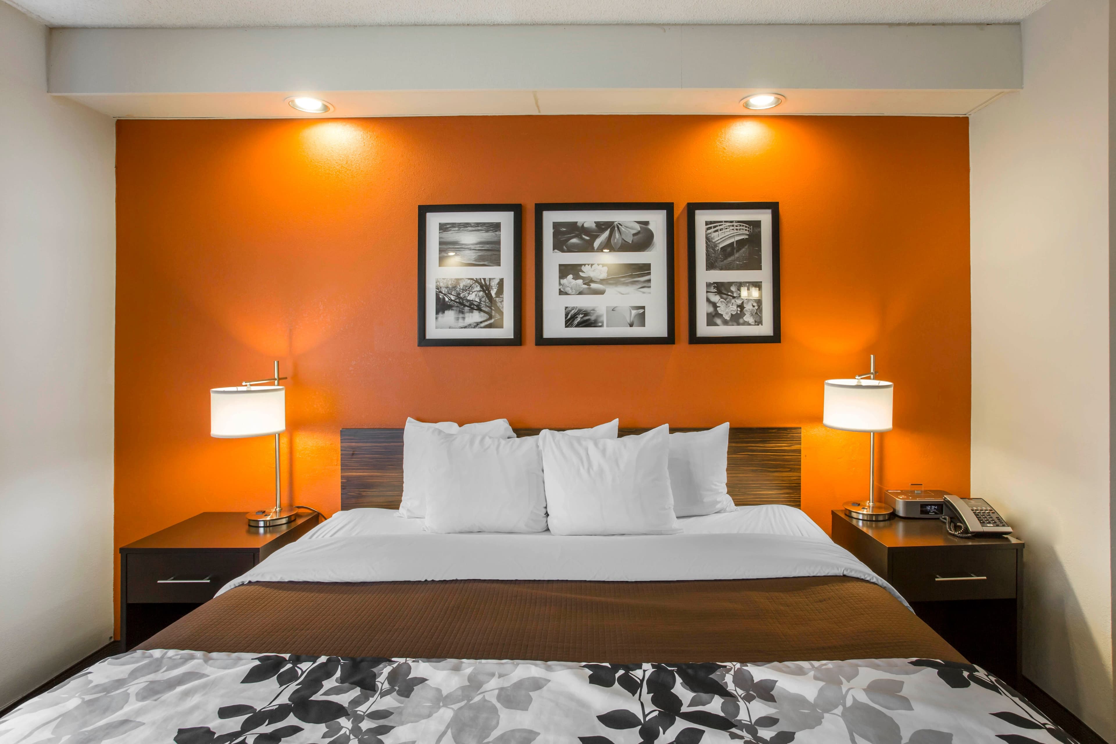 Sleep Inn Nashville - Brentwood - Cool Springs - Image 1
