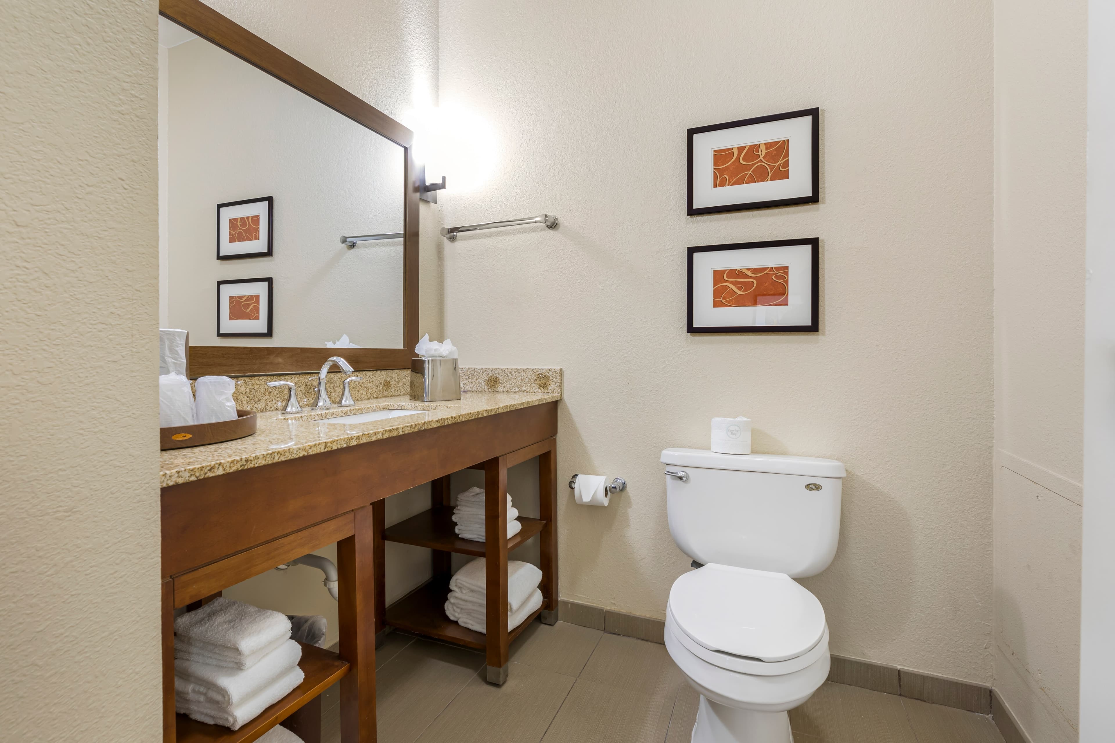 Comfort Inn Memphis Downtown - Image 5