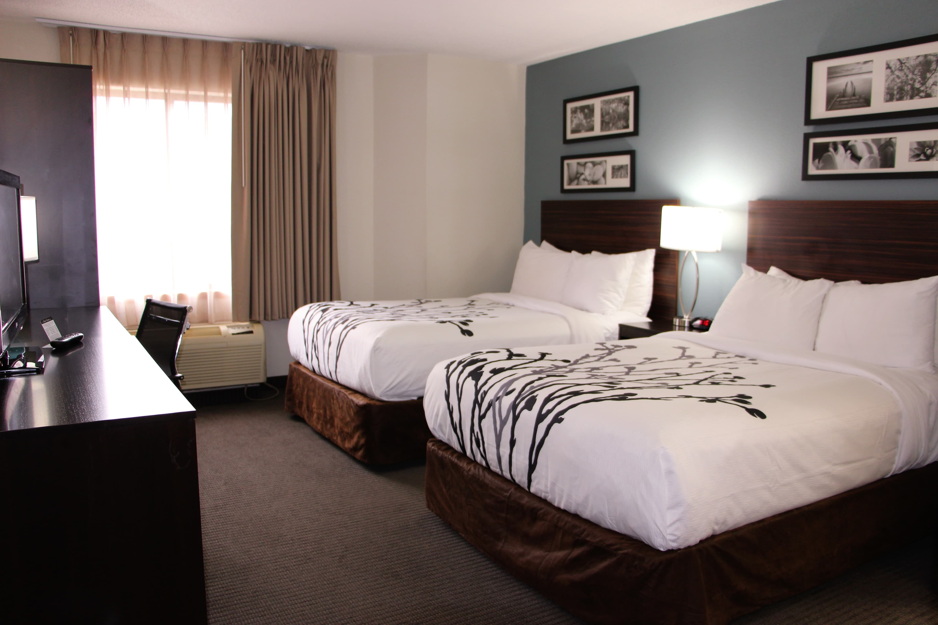 Sleep Inn Chattanooga Hamilton Place — 2