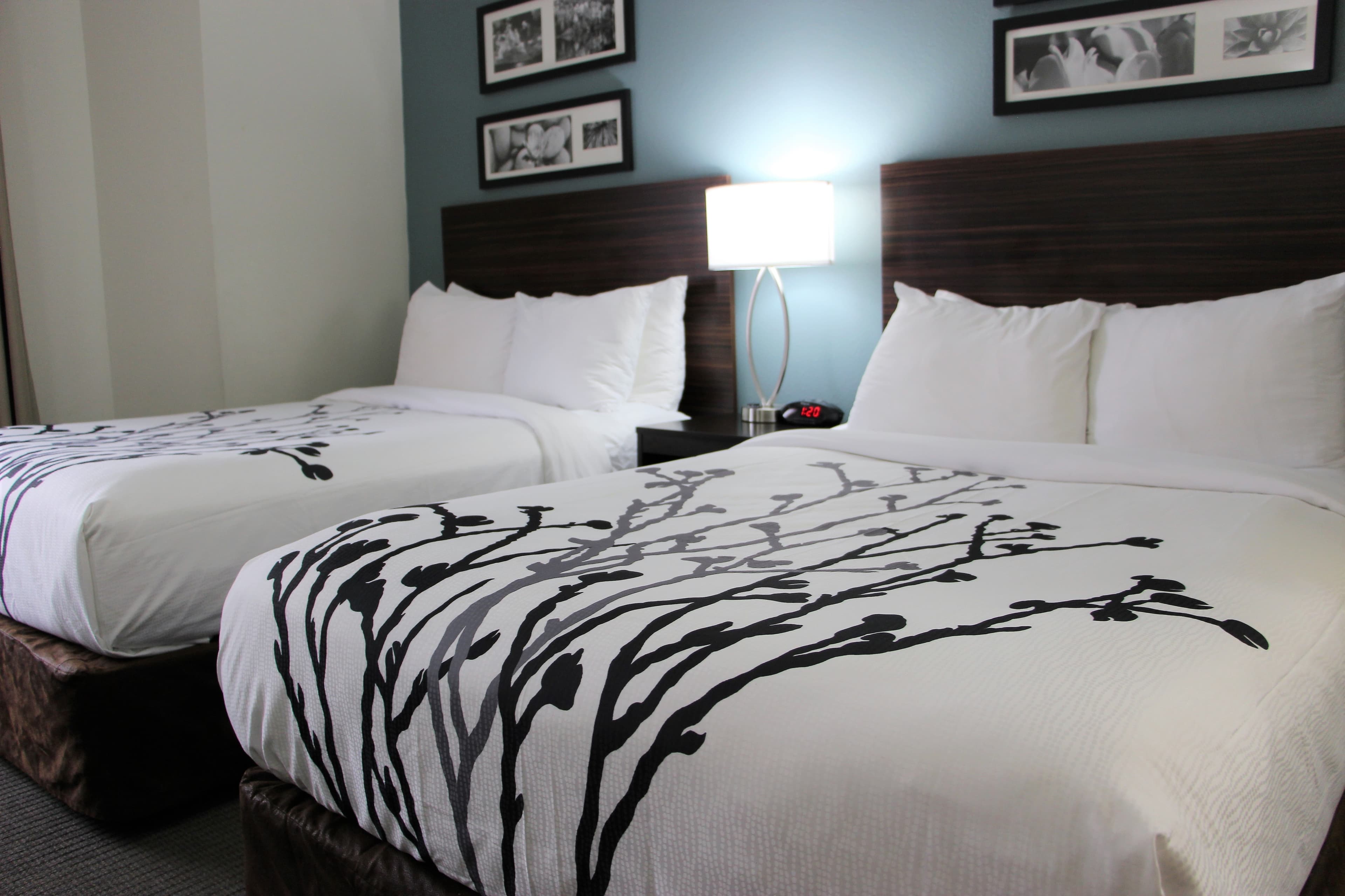 Sleep Inn Chattanooga Hamilton Place — 4