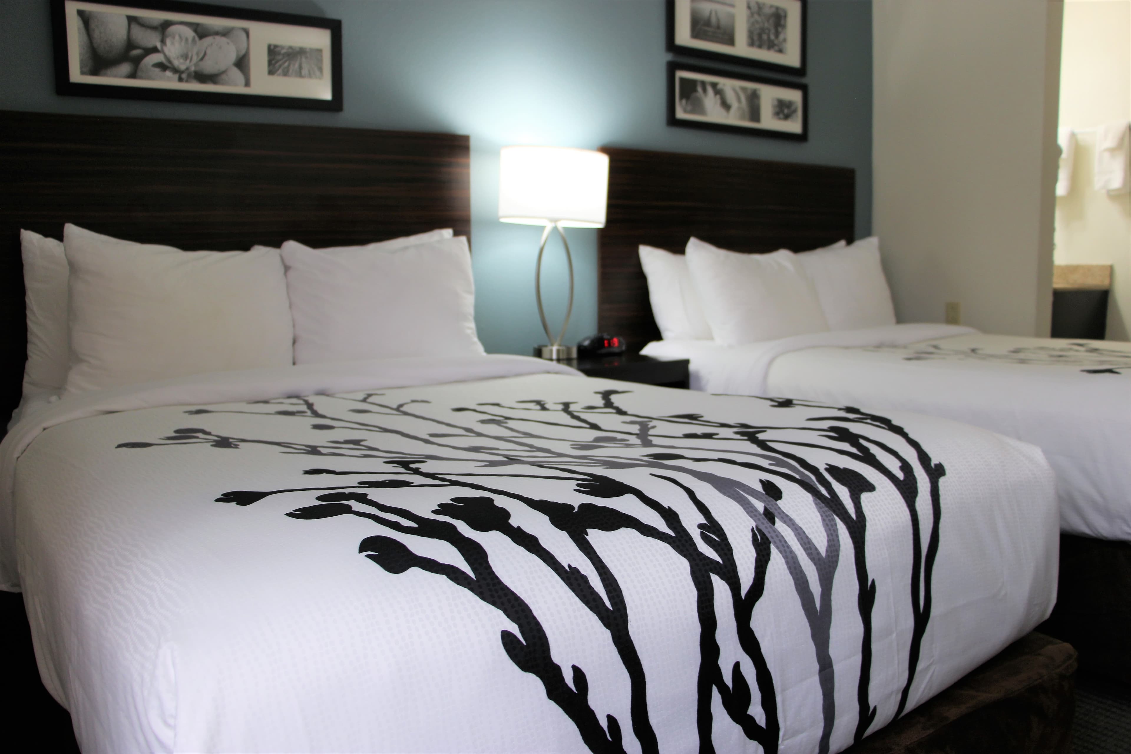 Sleep Inn Chattanooga Hamilton Place — 5