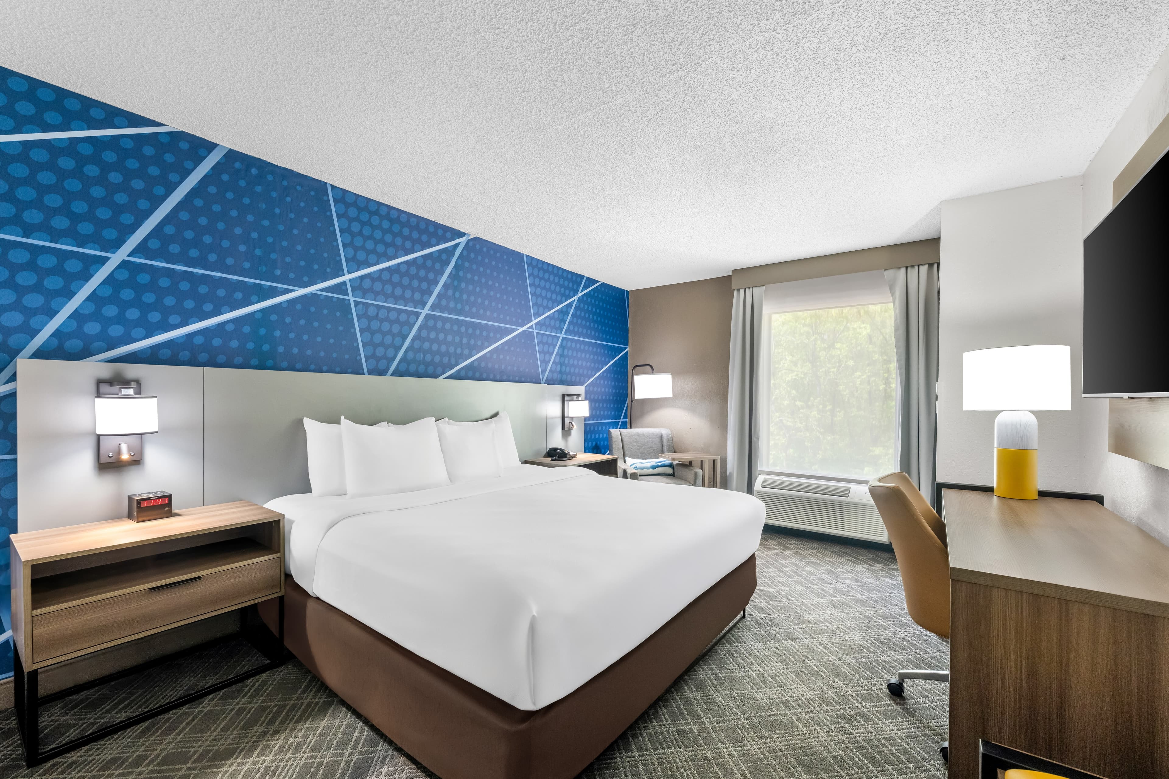1 King Bed - Image 5