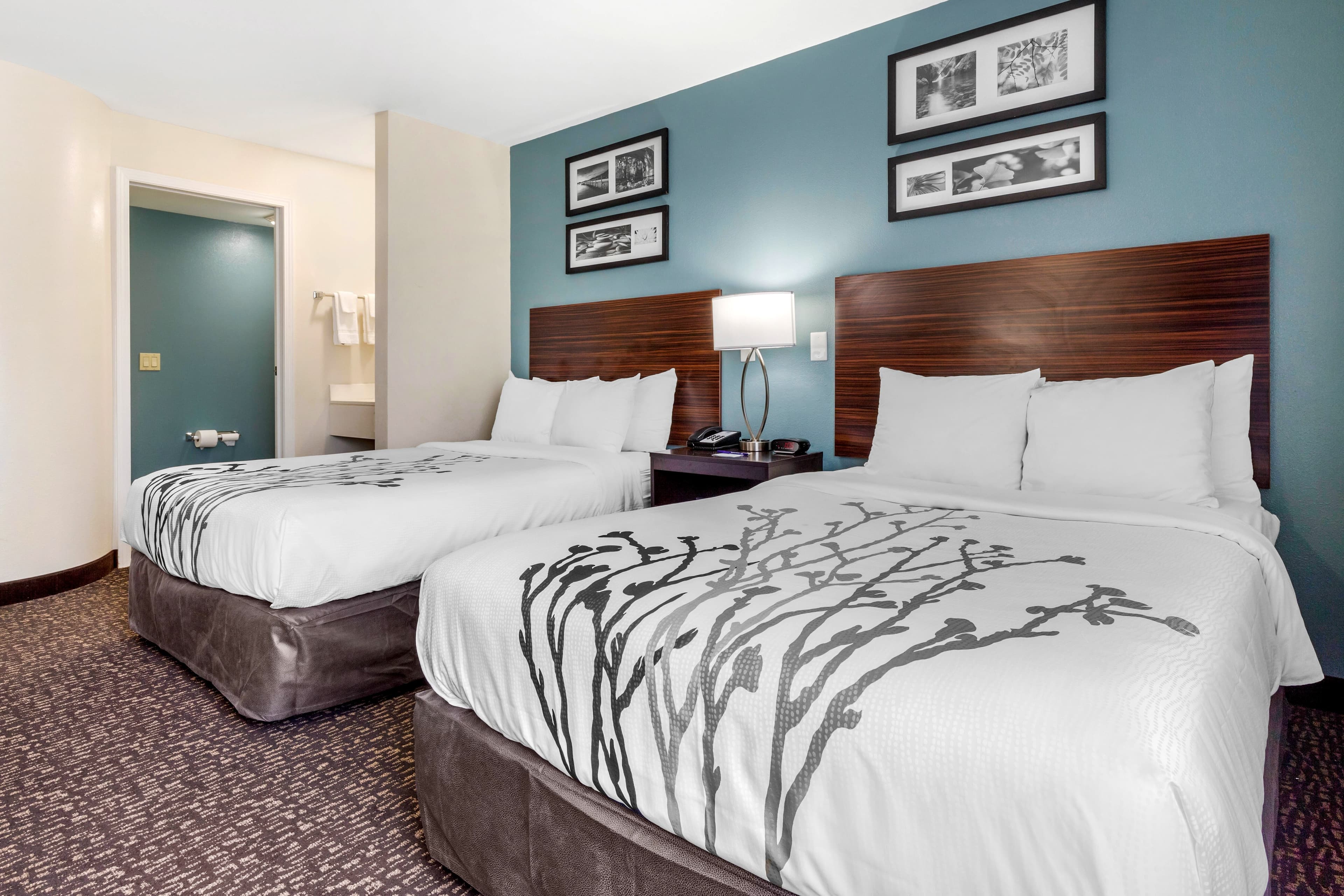 Sleep Inn & Suites Johnson City - Image 3