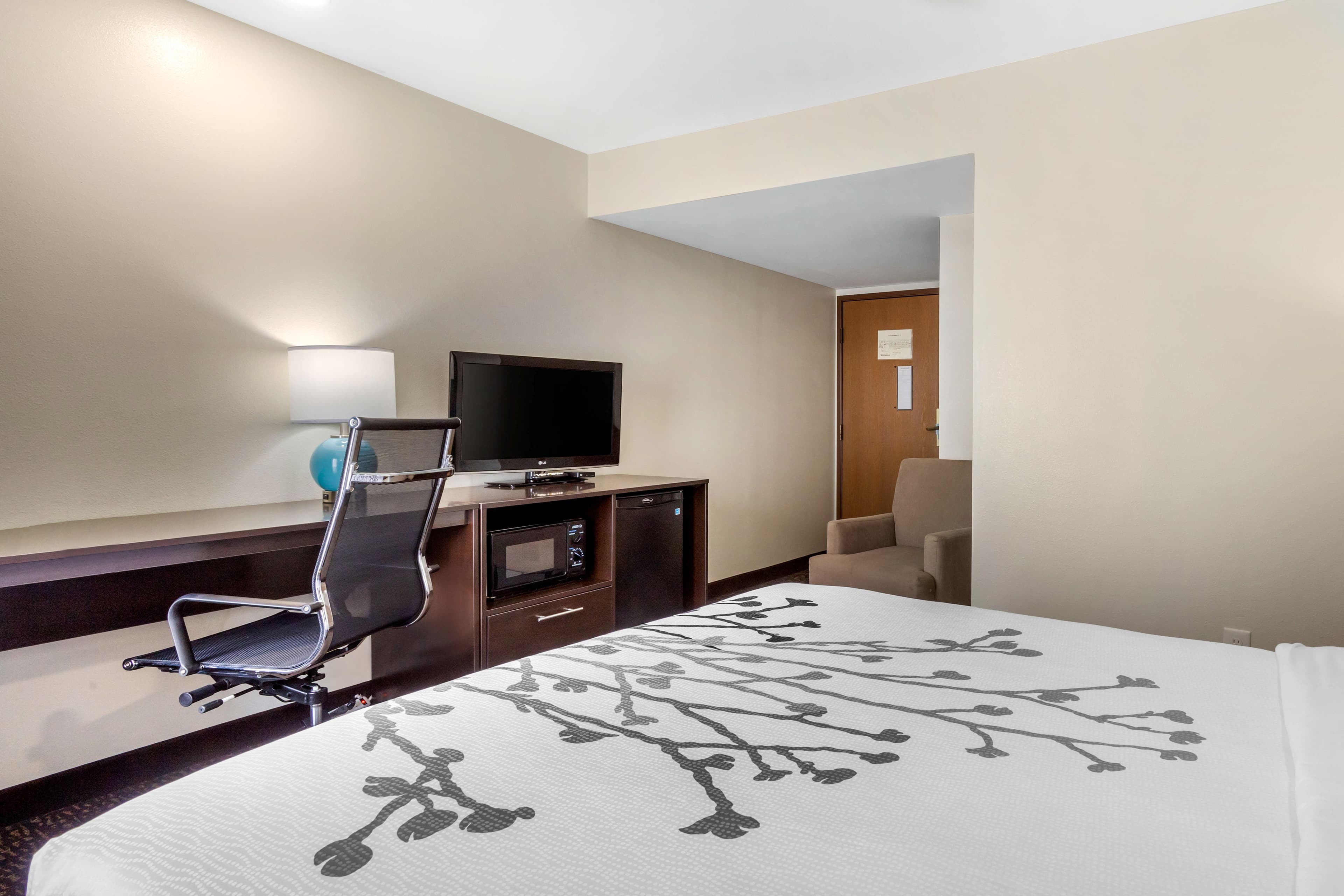 Sleep Inn & Suites Johnson City — 9