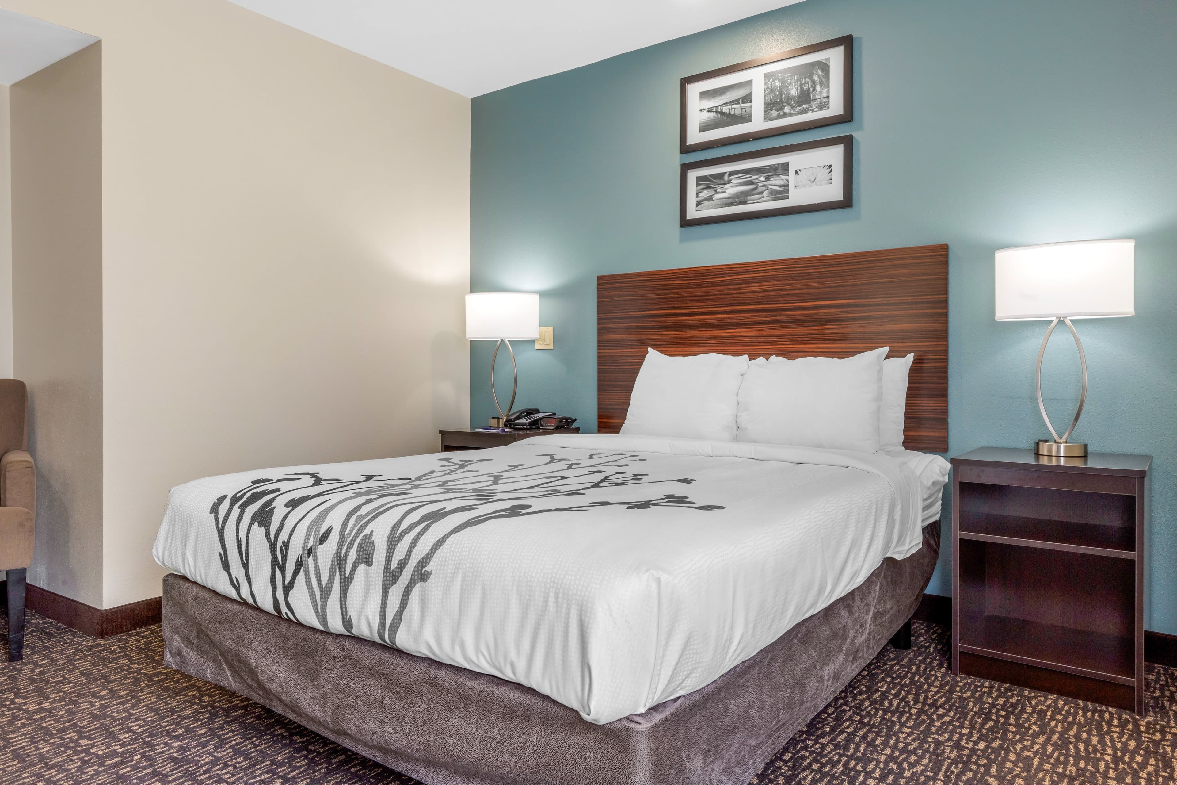 Sleep Inn & Suites Johnson City — 10