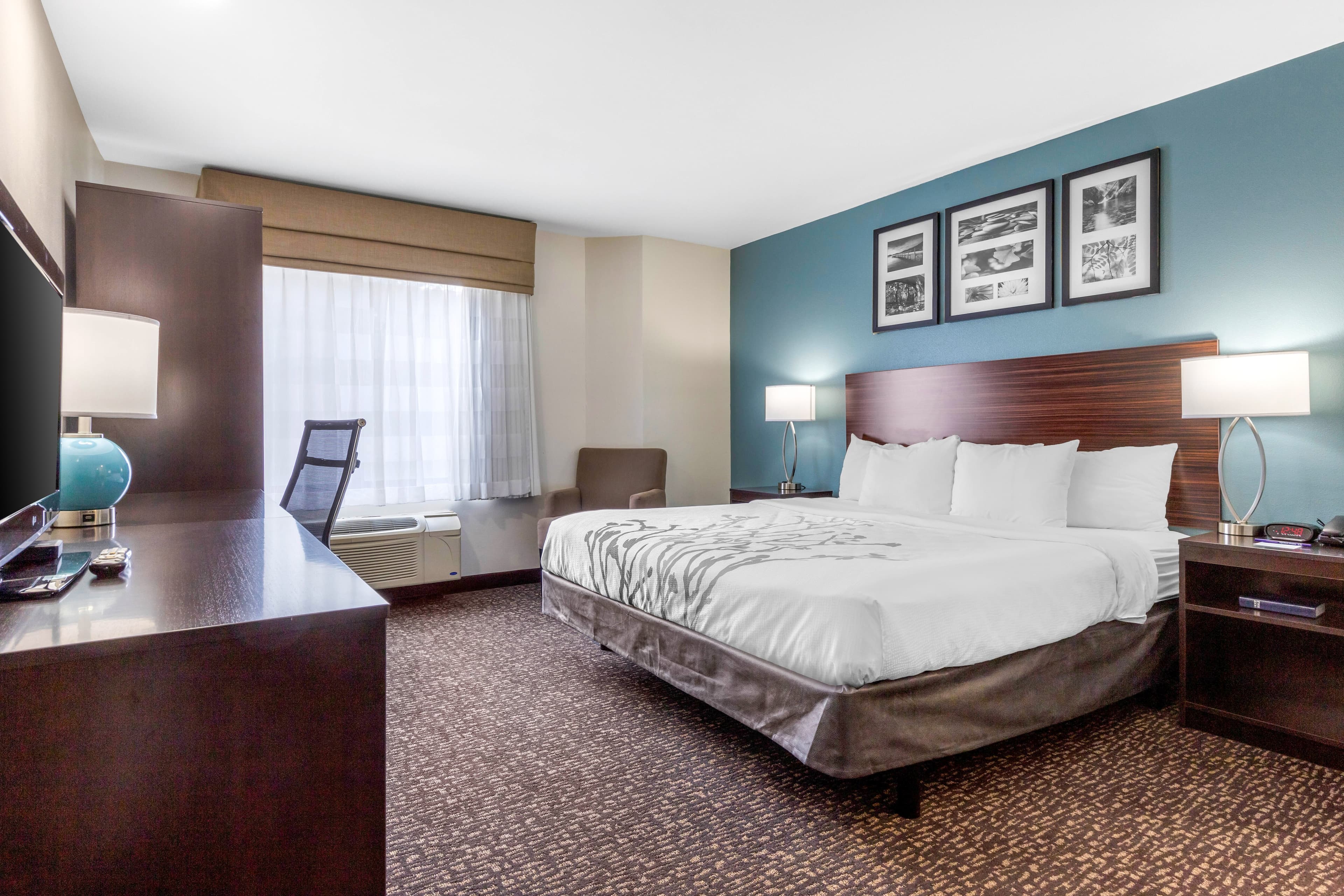 Sleep Inn & Suites Johnson City — 12