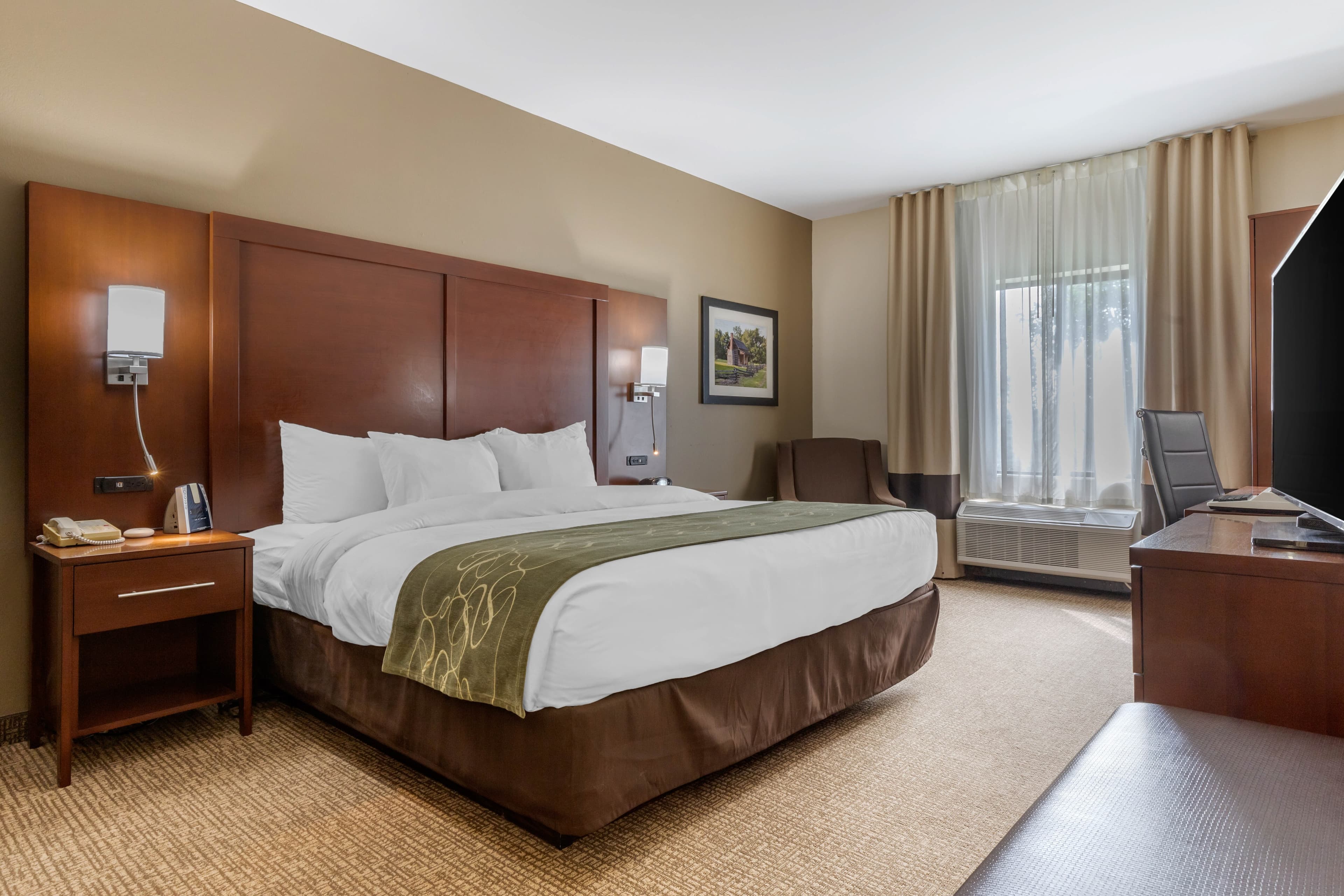 Comfort Suites Johnson City near University - Image 2