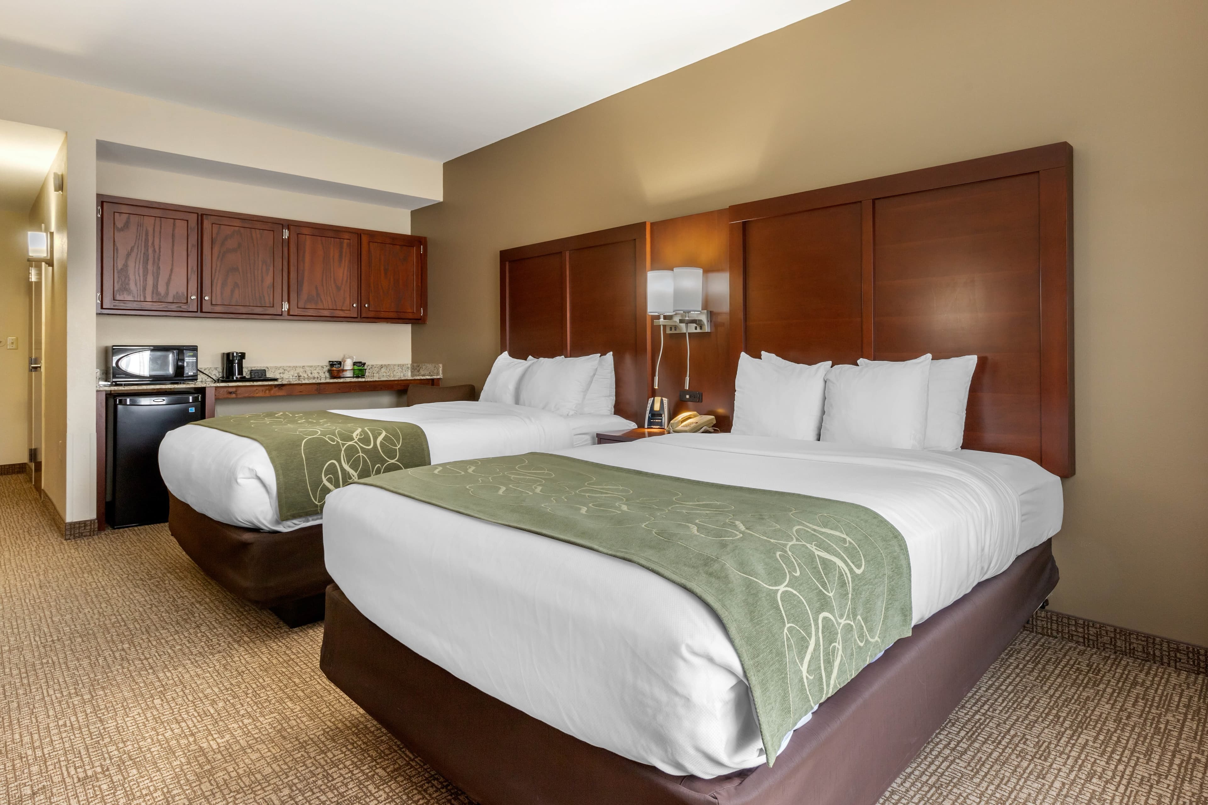 Comfort Suites Johnson City near University — 9
