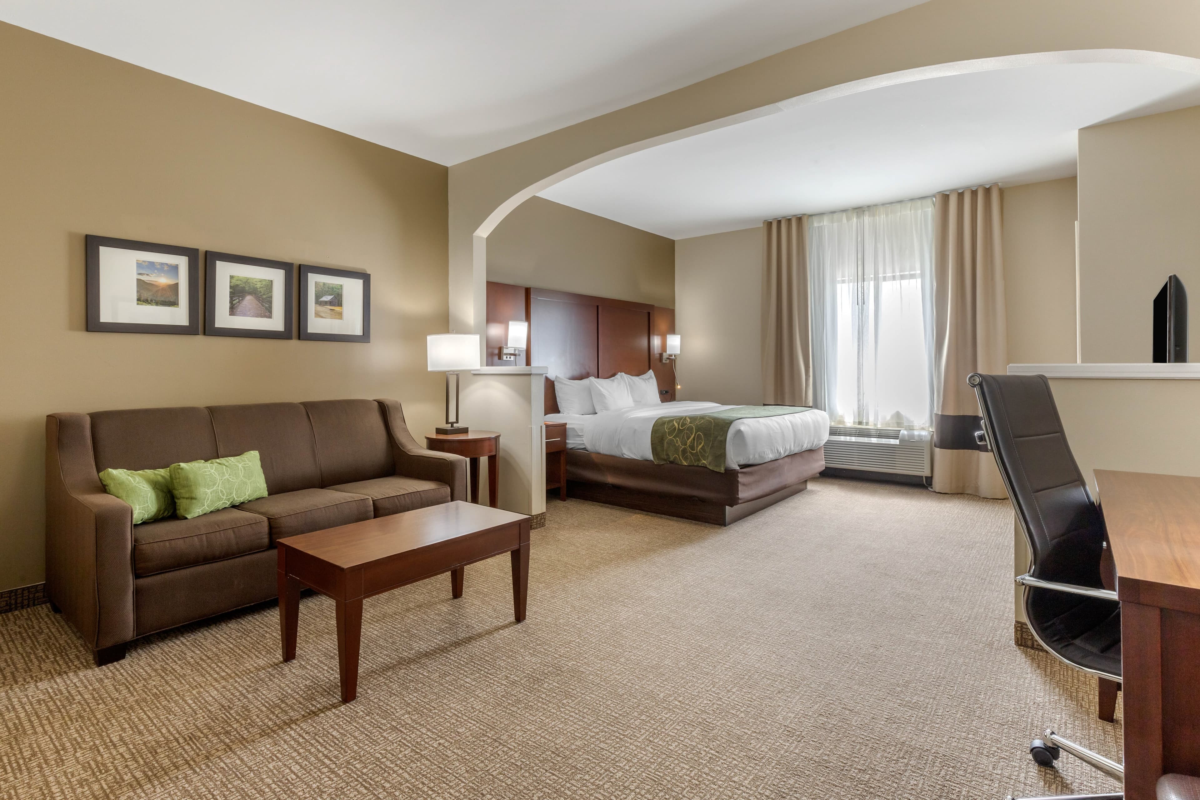 Comfort Suites Johnson City near University — 12