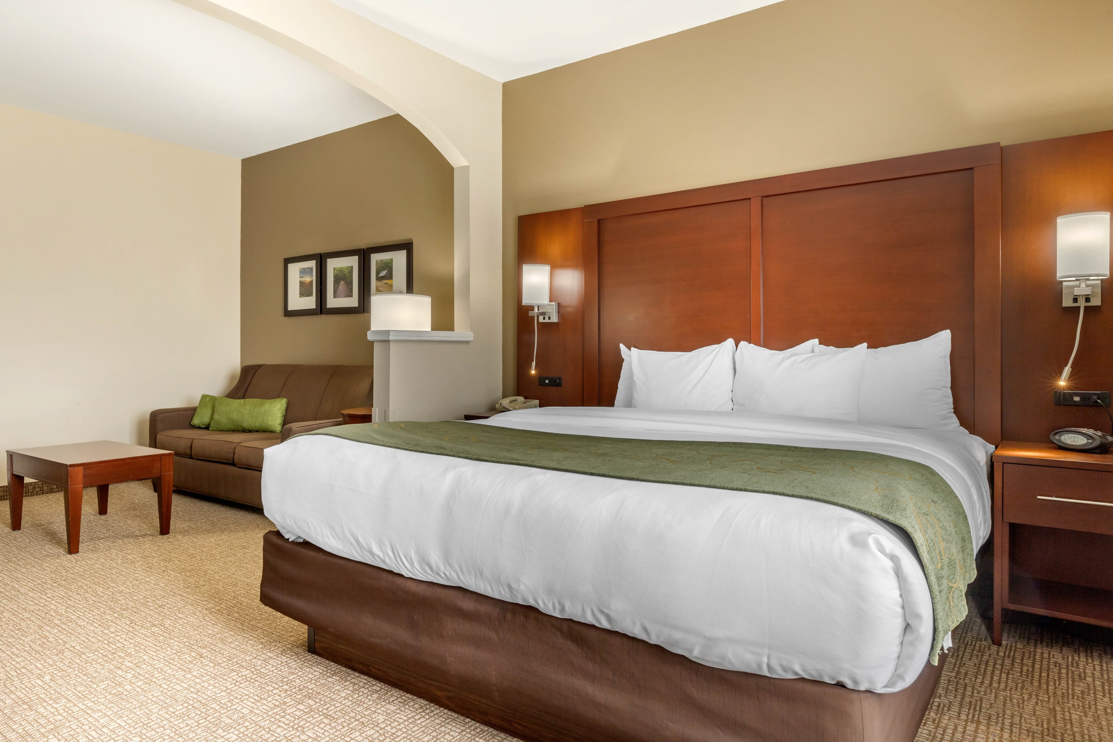 Comfort Suites Johnson City near University — 14